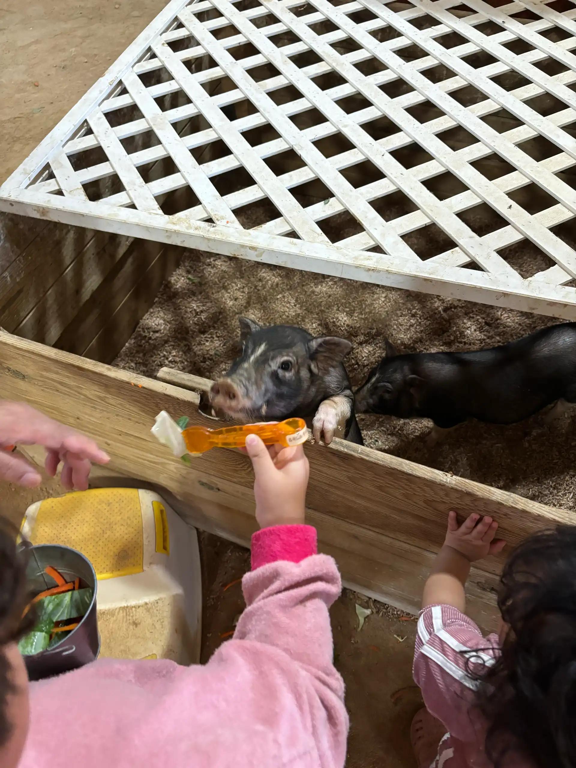 크루톡 이미지 2