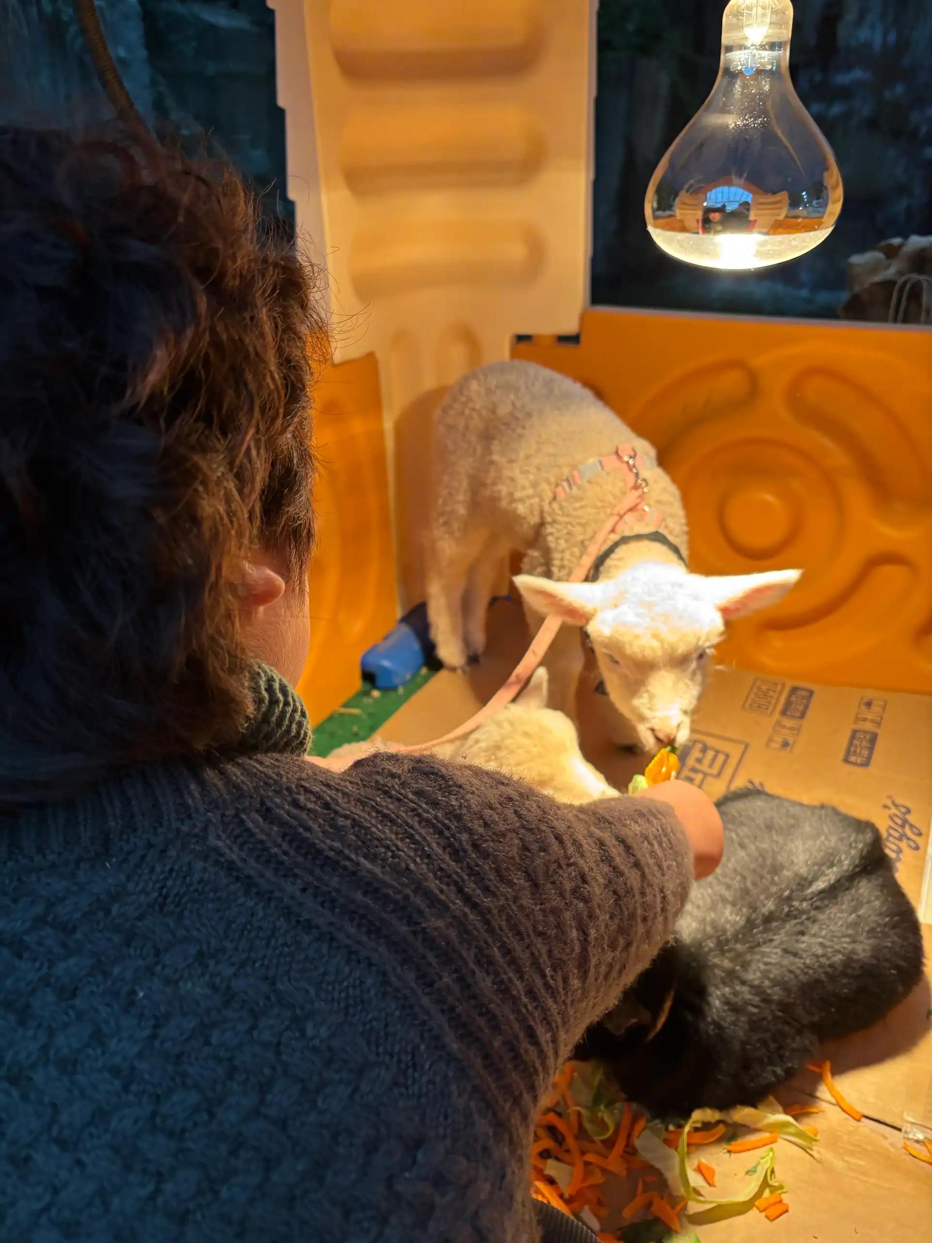 크루톡 이미지 13