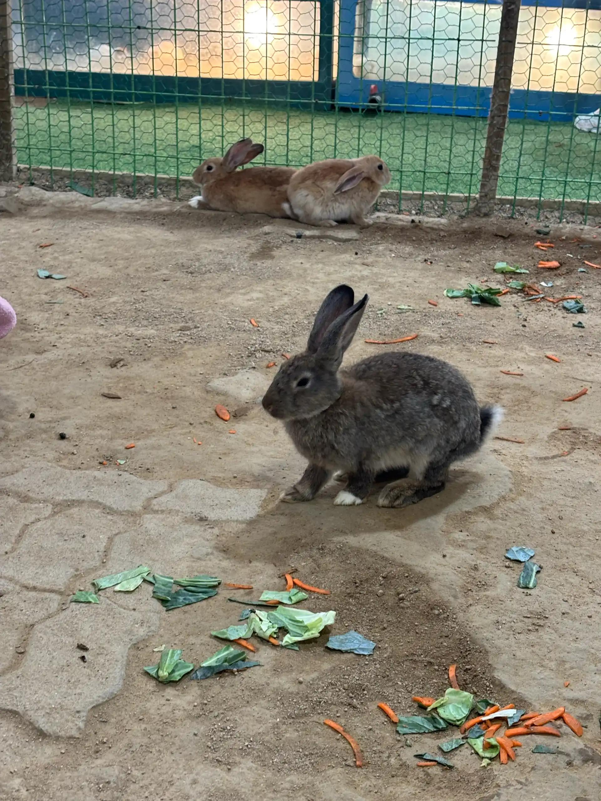 크루톡 이미지 3