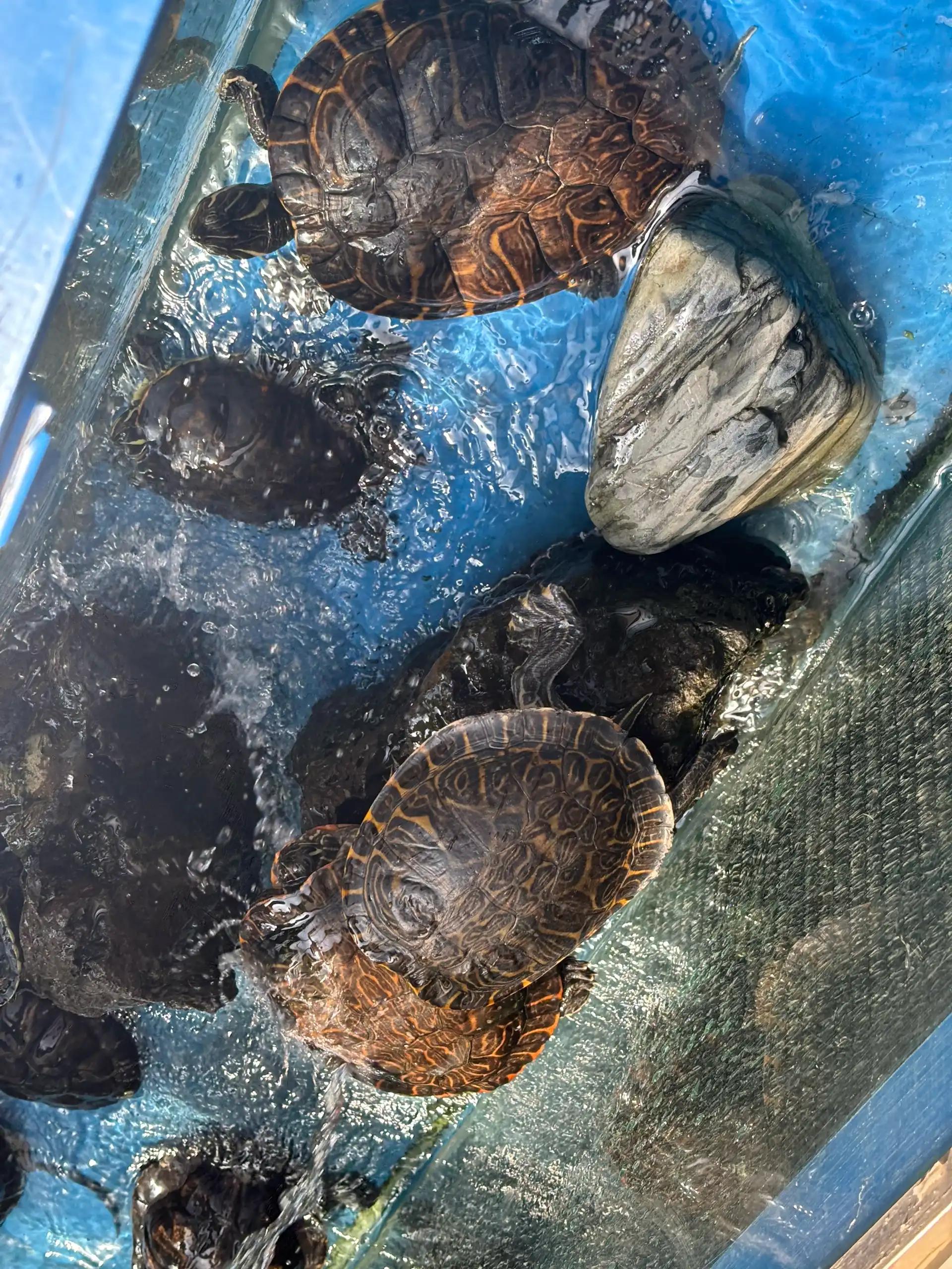 크루톡 이미지 4