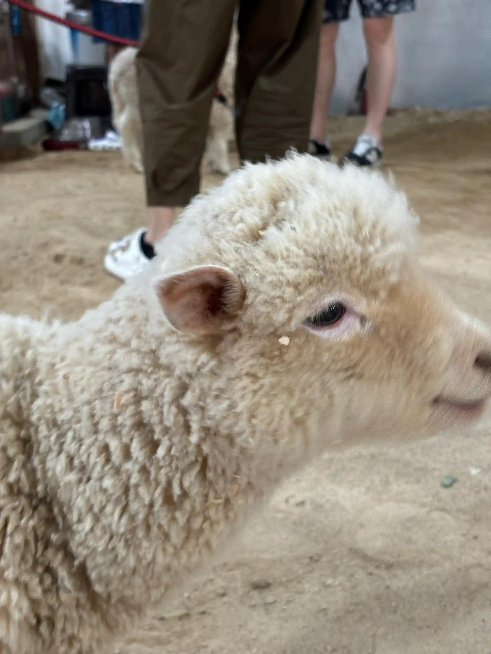 크루톡 이미지 5