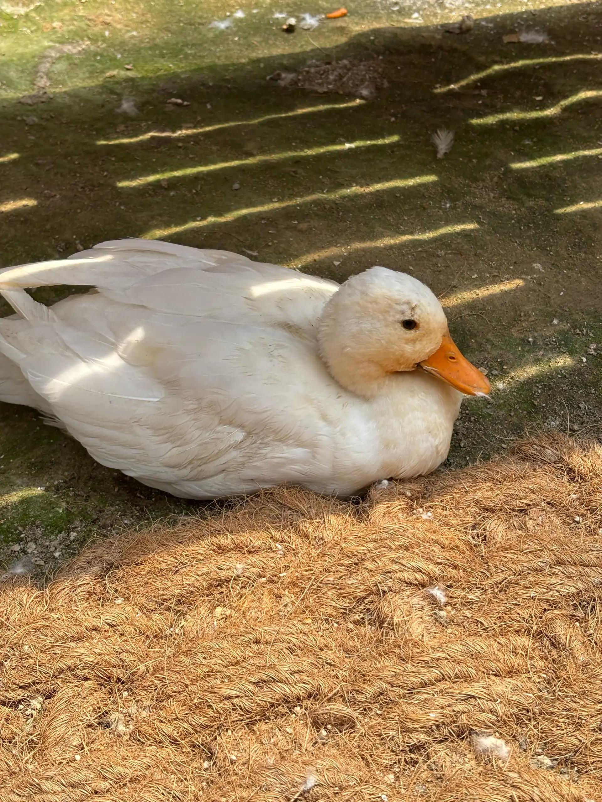 크루톡 이미지 6