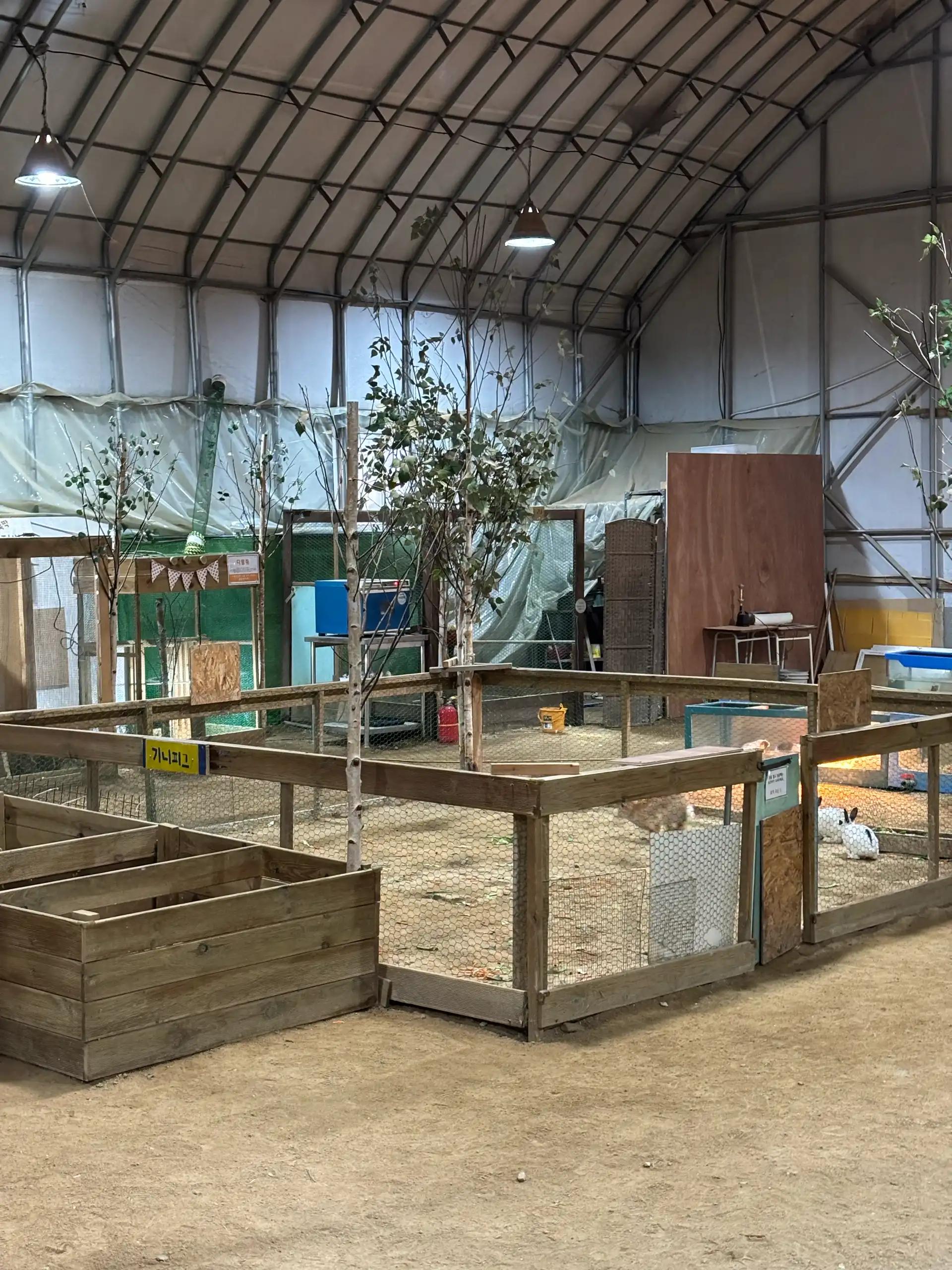 크루톡 이미지 8