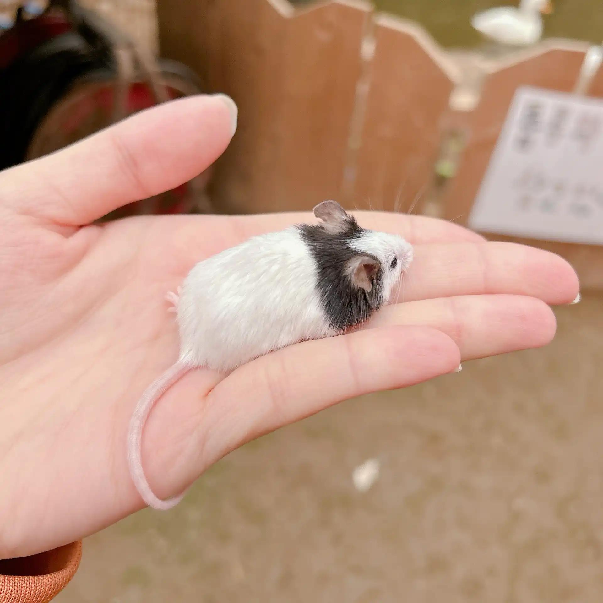 크루톡 이미지 9