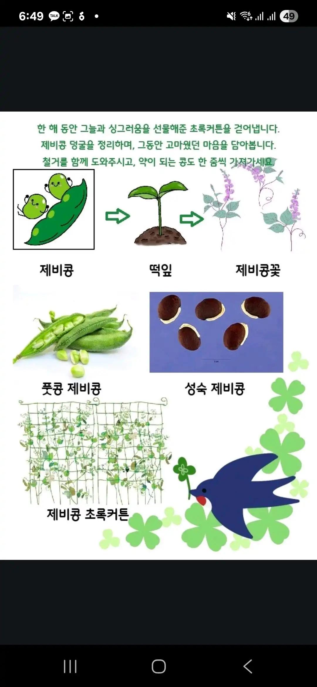 크루톡 이미지 2