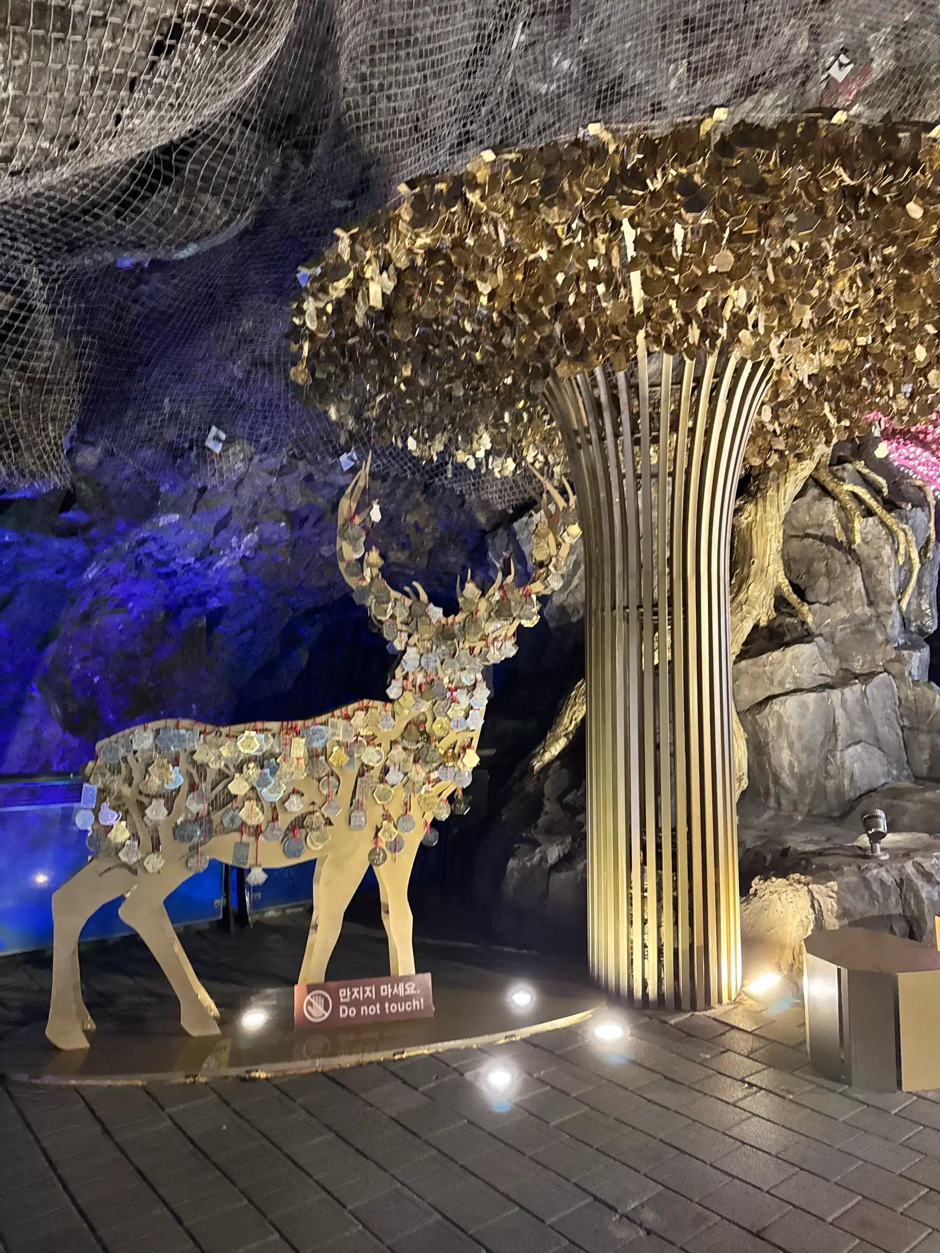 크루톡 이미지 4