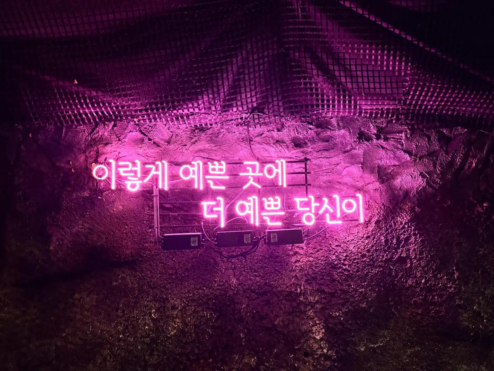 크루톡 이미지 6