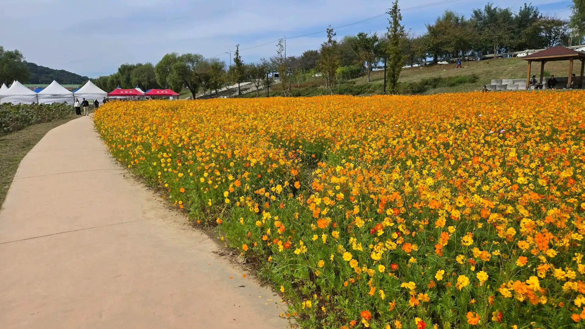 크루톡 이미지 2