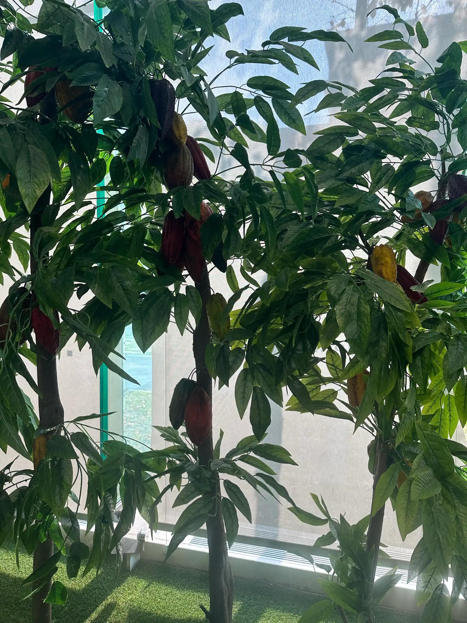 크루톡 이미지 6