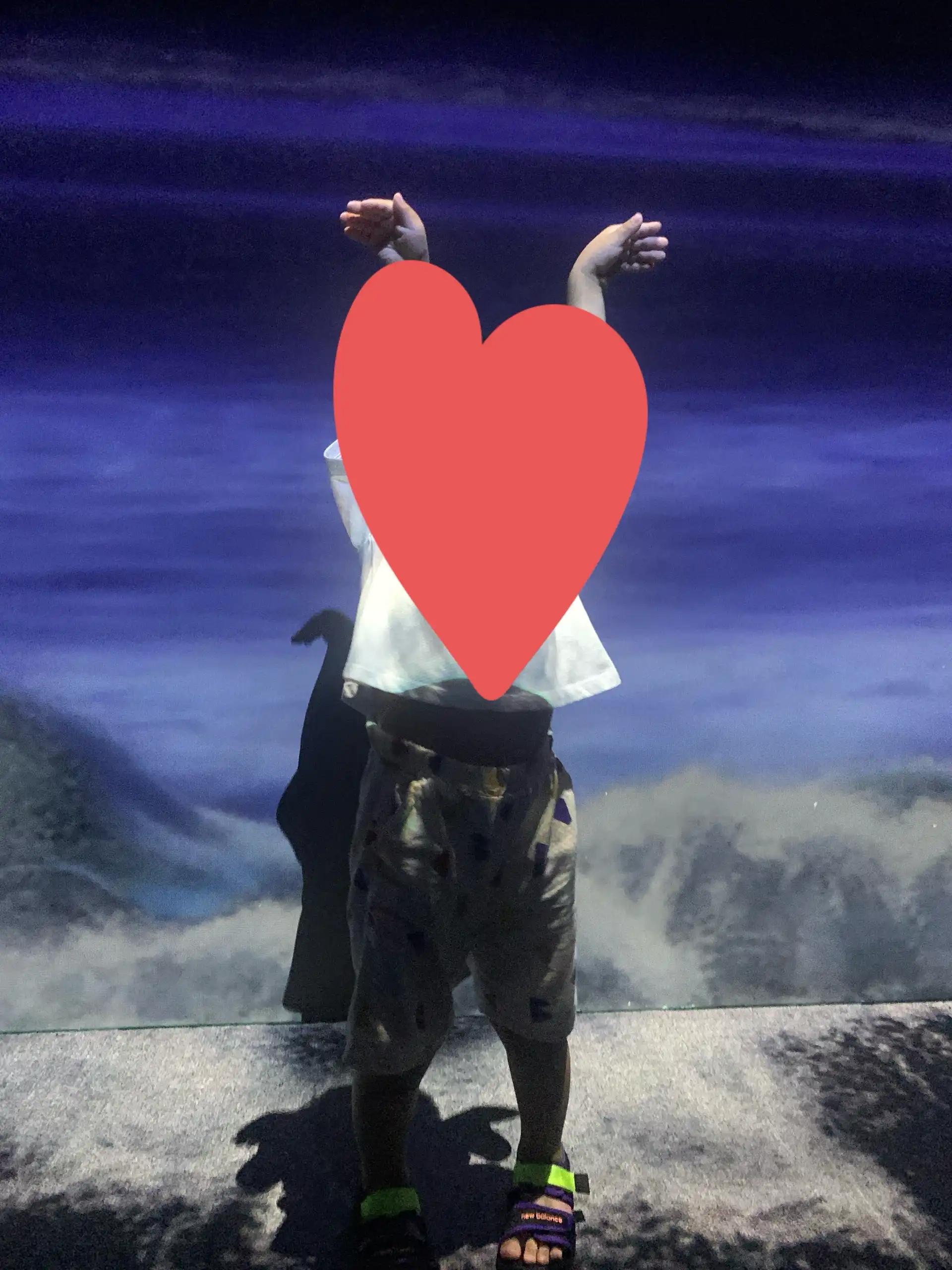 크루톡 이미지 2