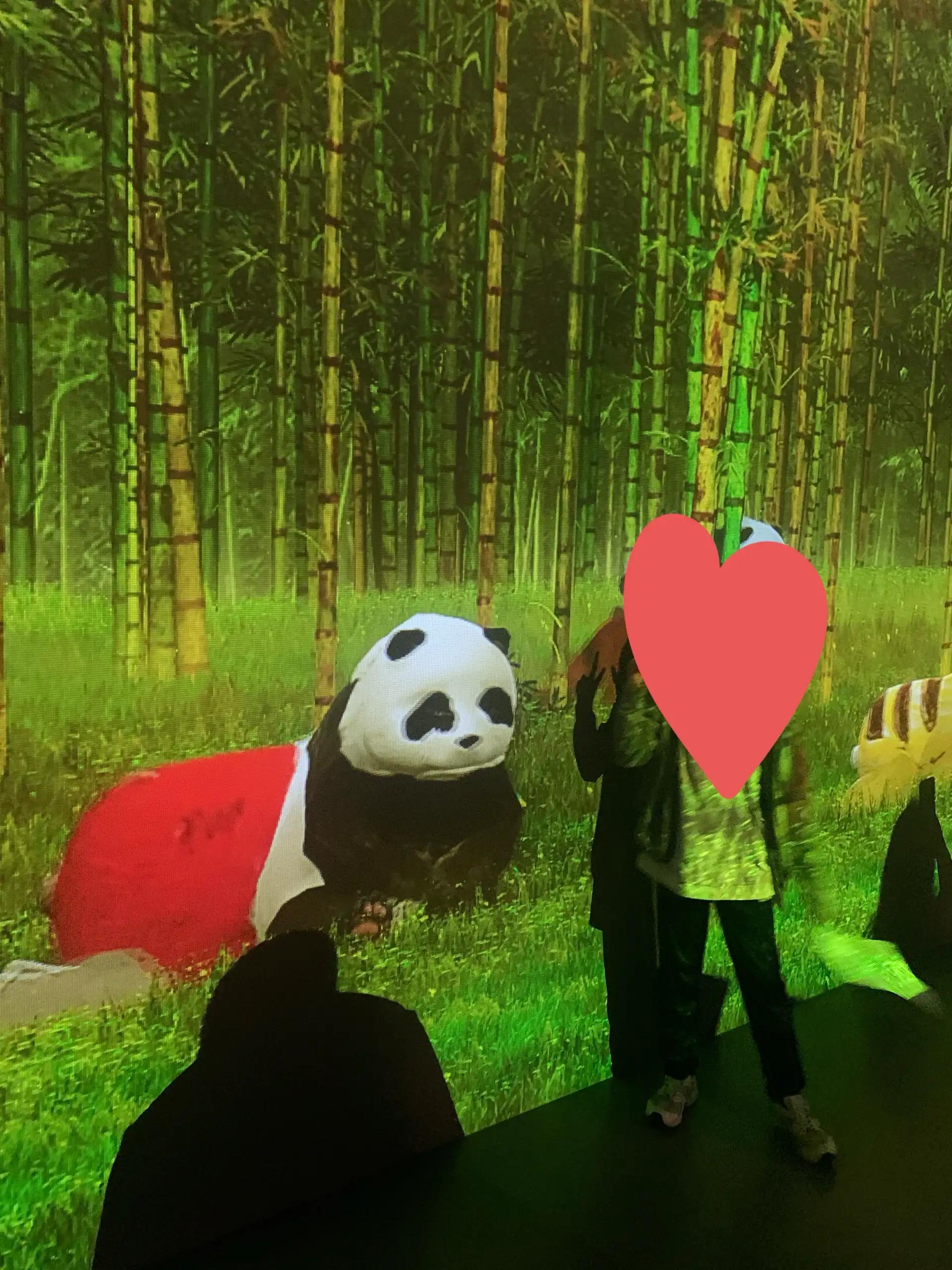 크루톡 이미지 3