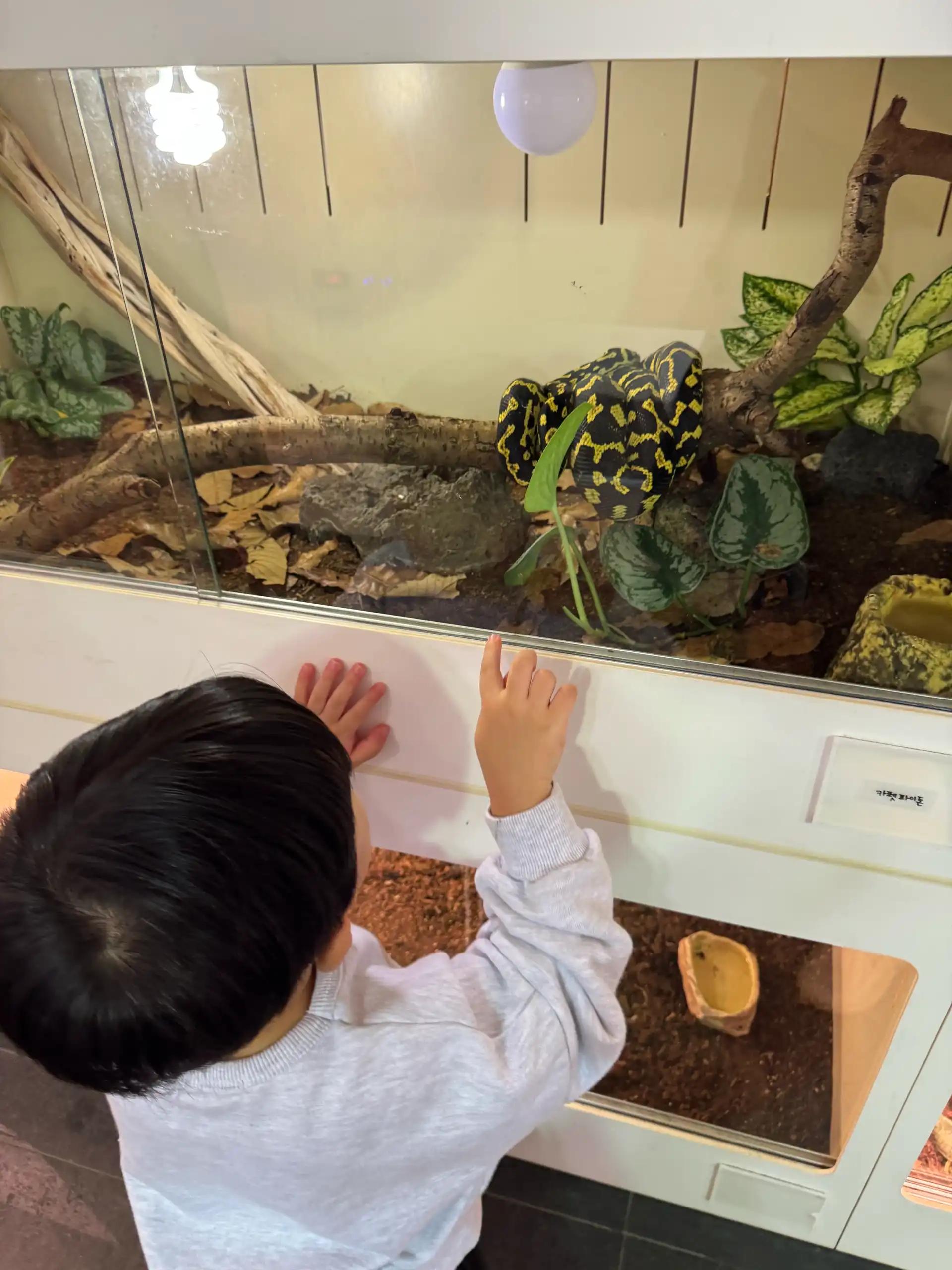 크루톡 이미지 2