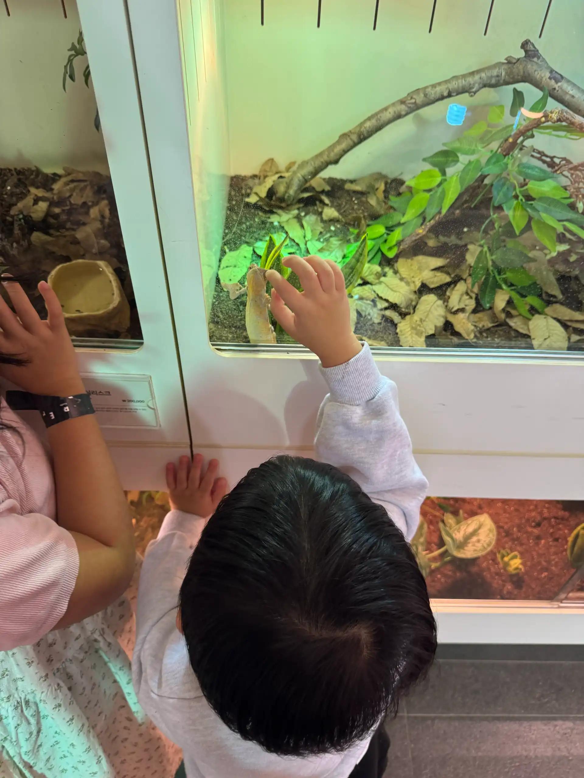 크루톡 이미지 11