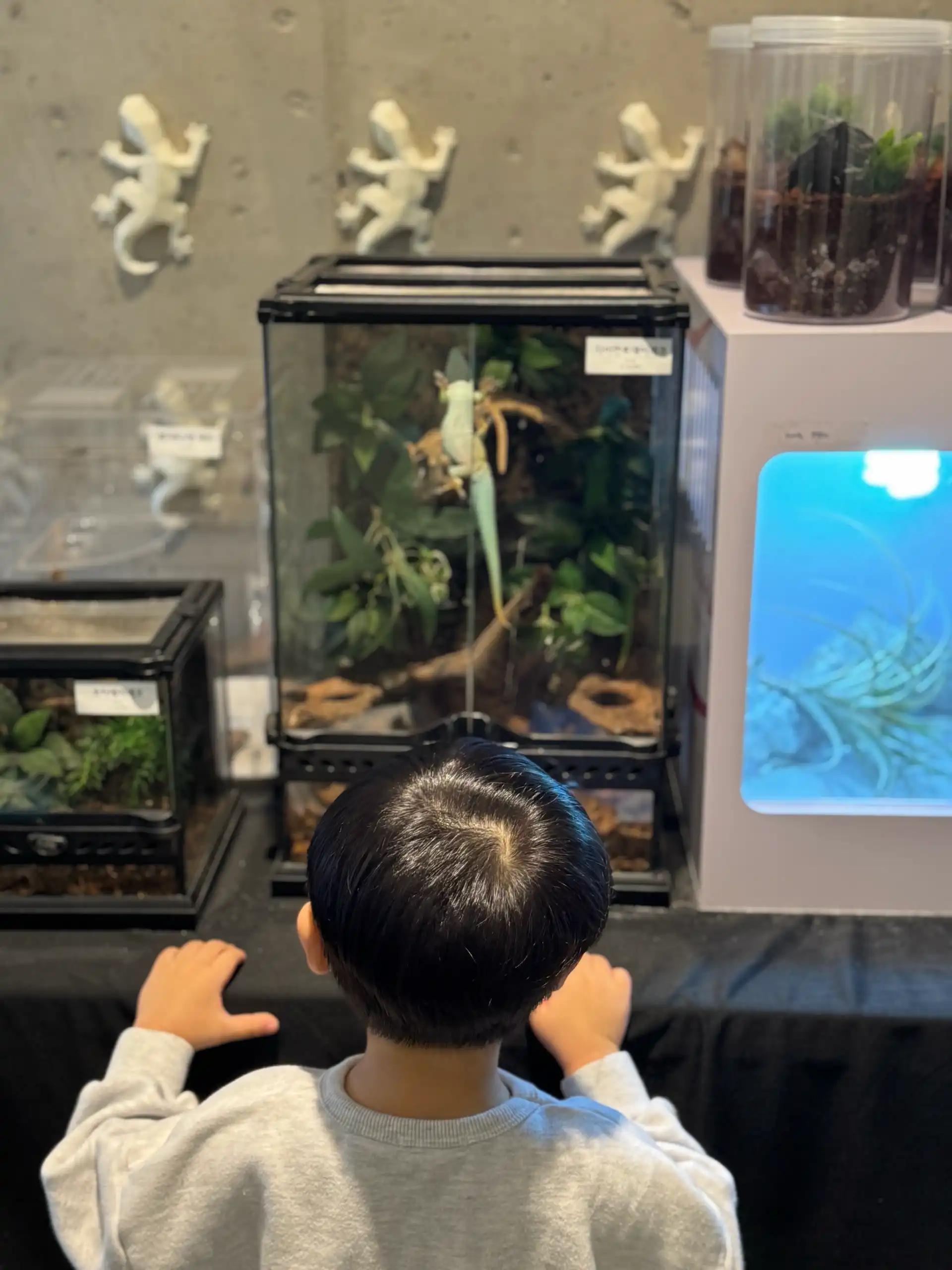 크루톡 이미지 3