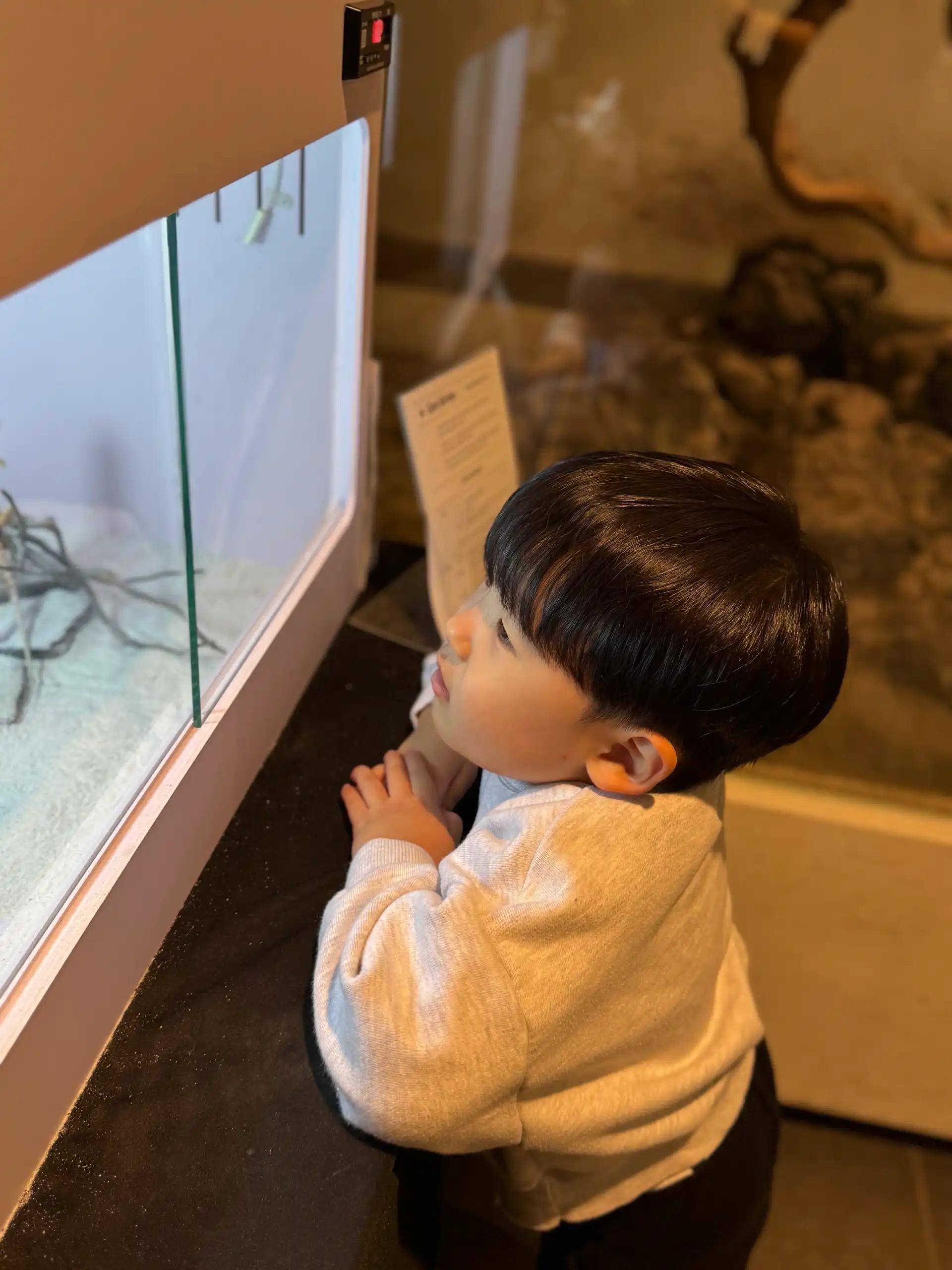 크루톡 이미지 4