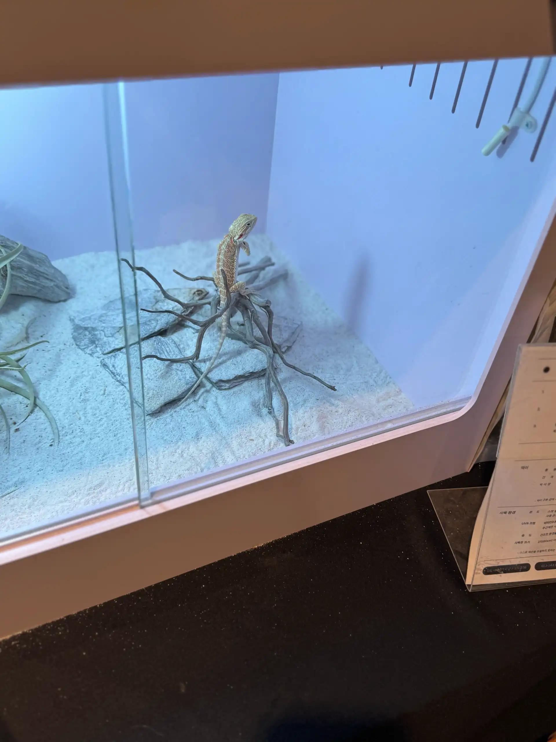 크루톡 이미지 5