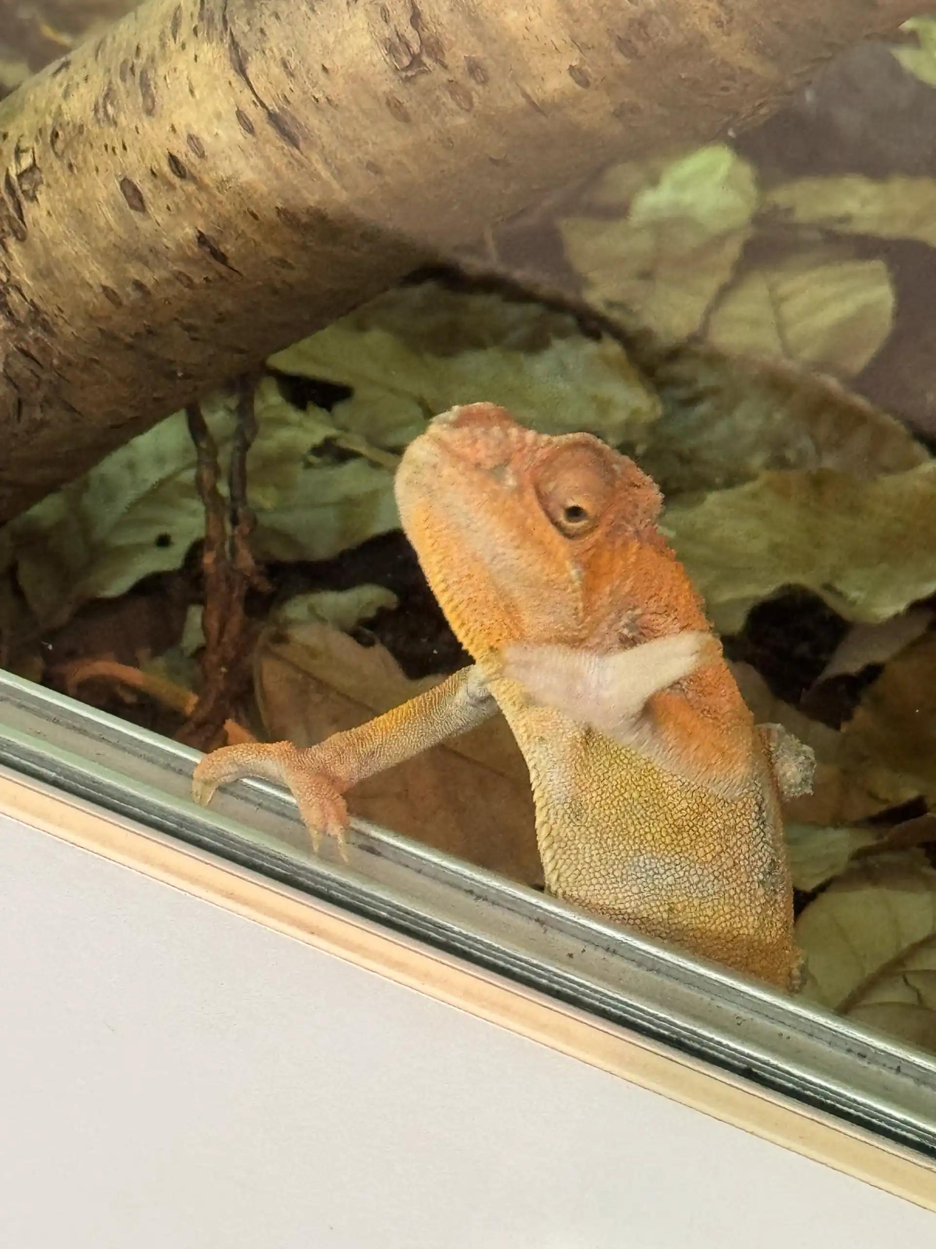 크루톡 이미지 6