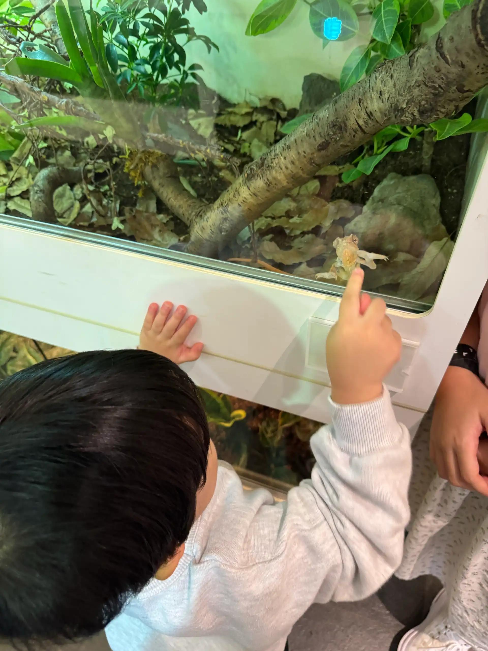 크루톡 이미지 7