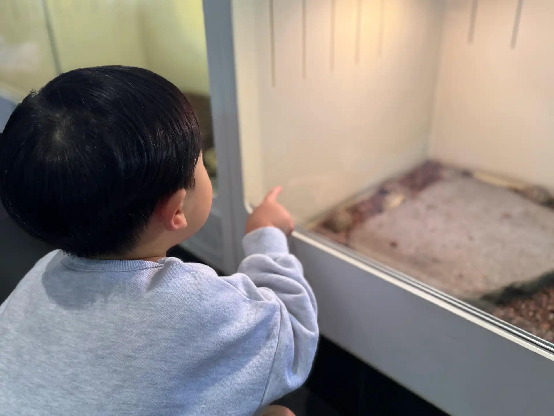 크루톡 이미지 10