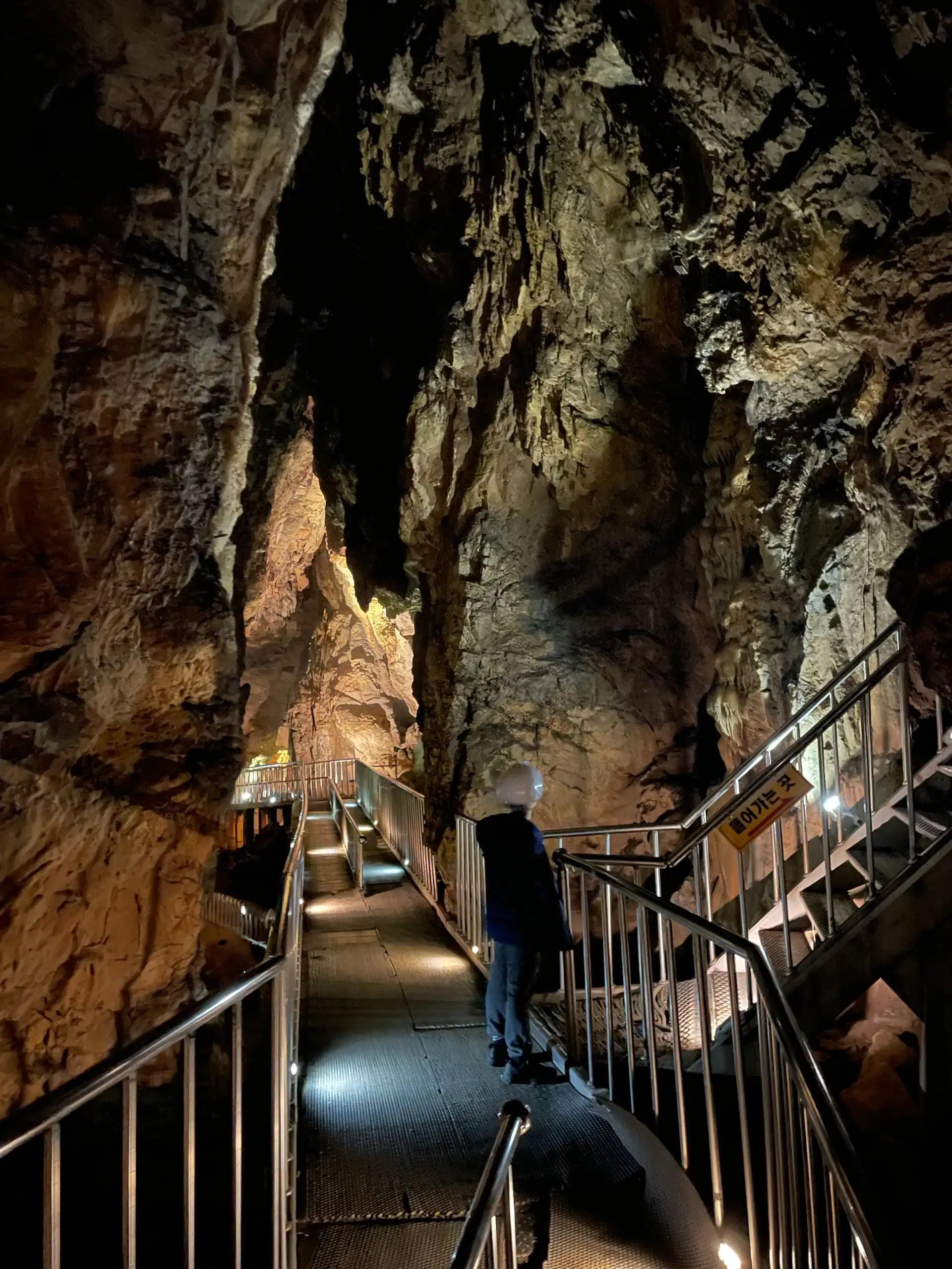 크루톡 이미지 5