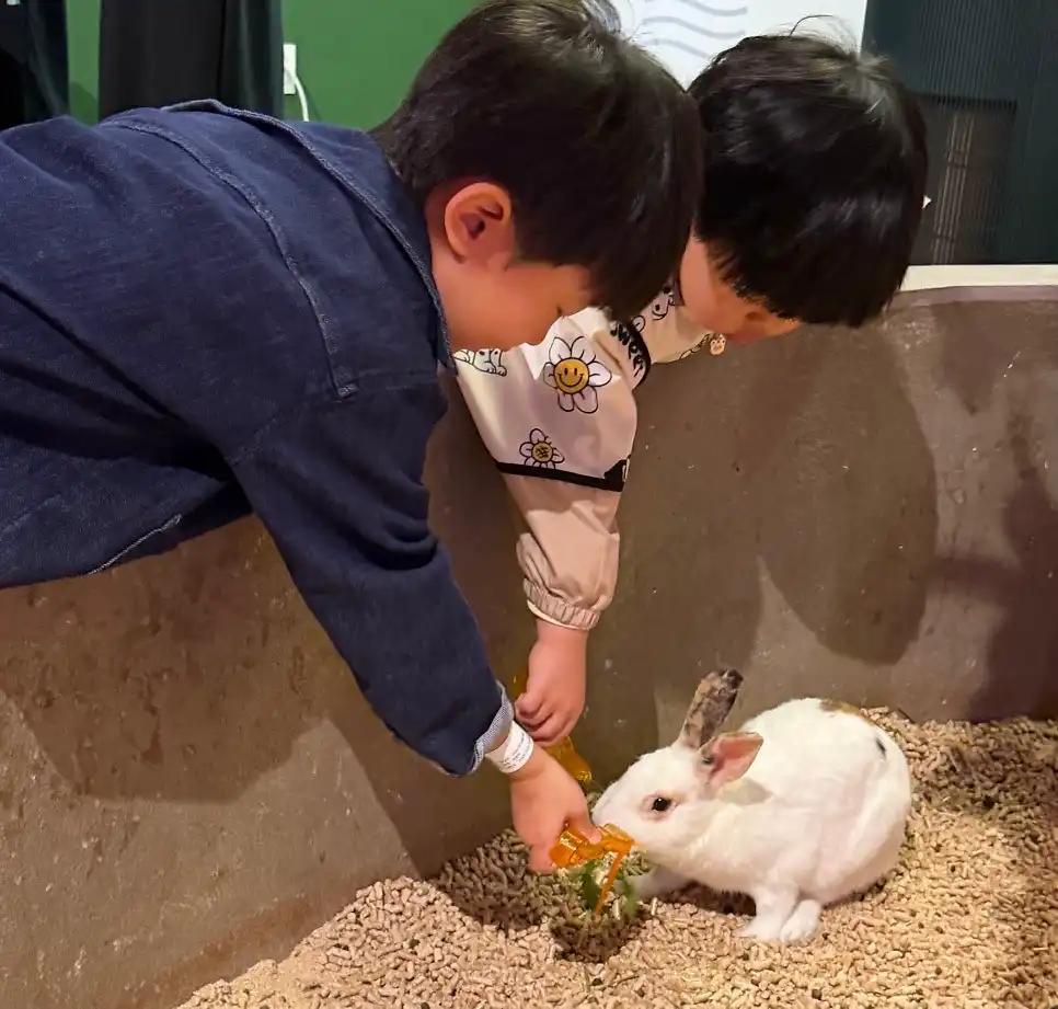 크루톡 이미지 3