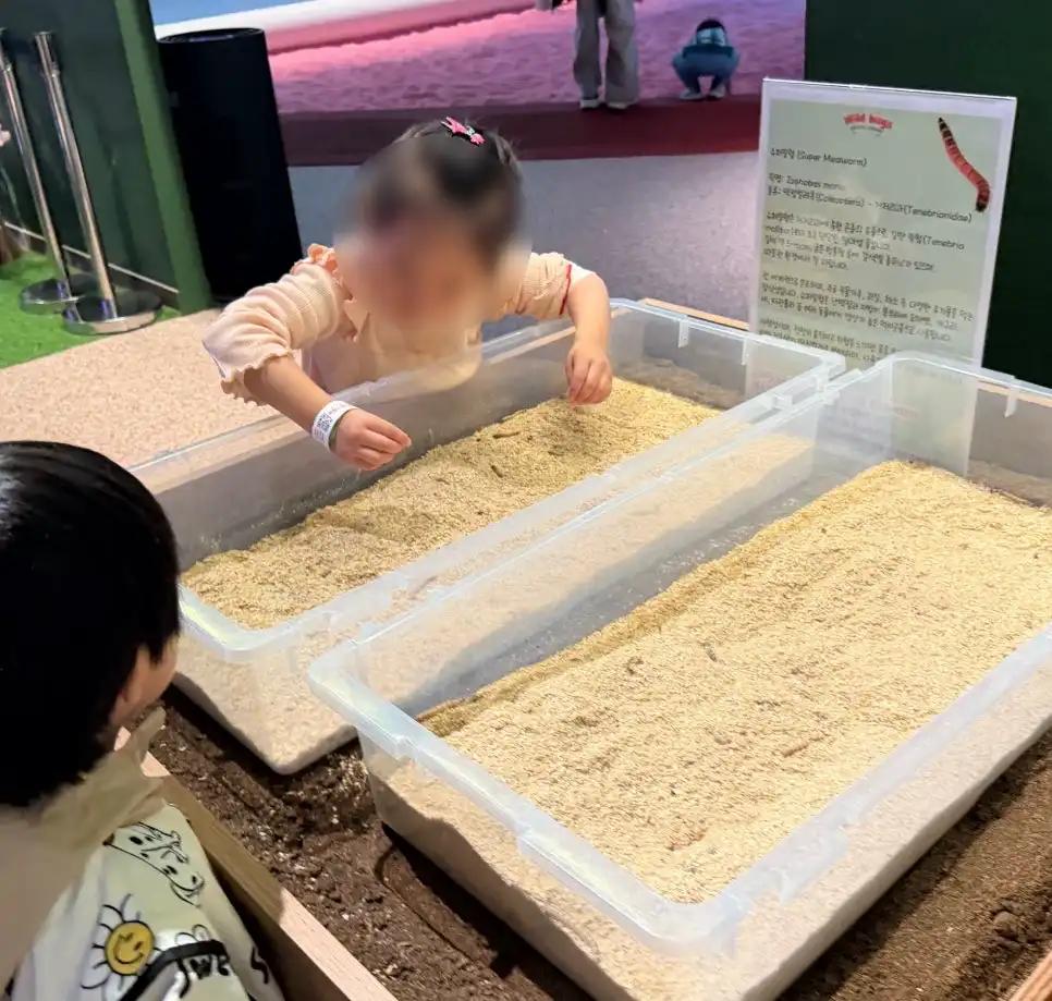 크루톡 이미지 4