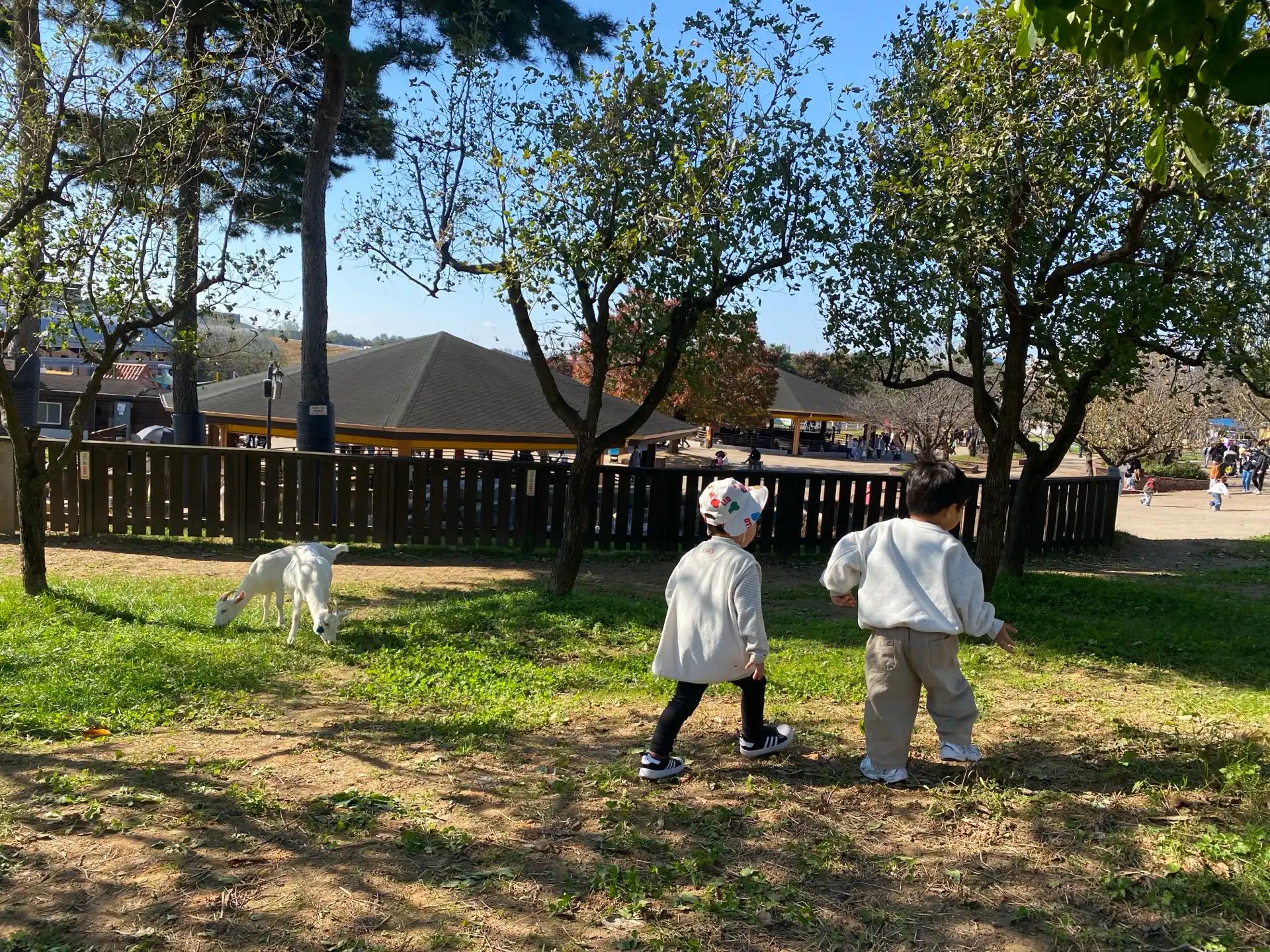 크루톡 이미지 2