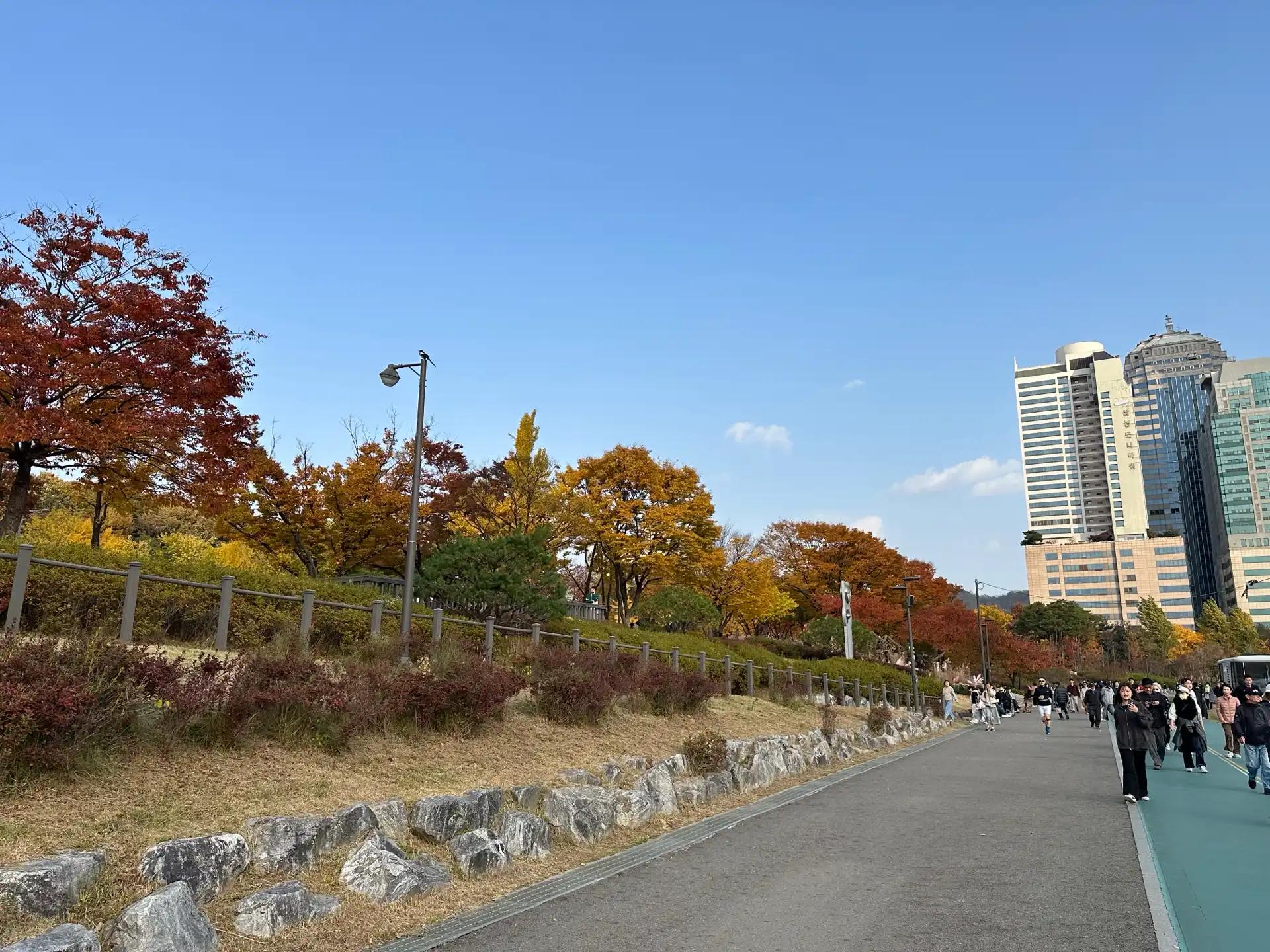 크루톡 이미지 2