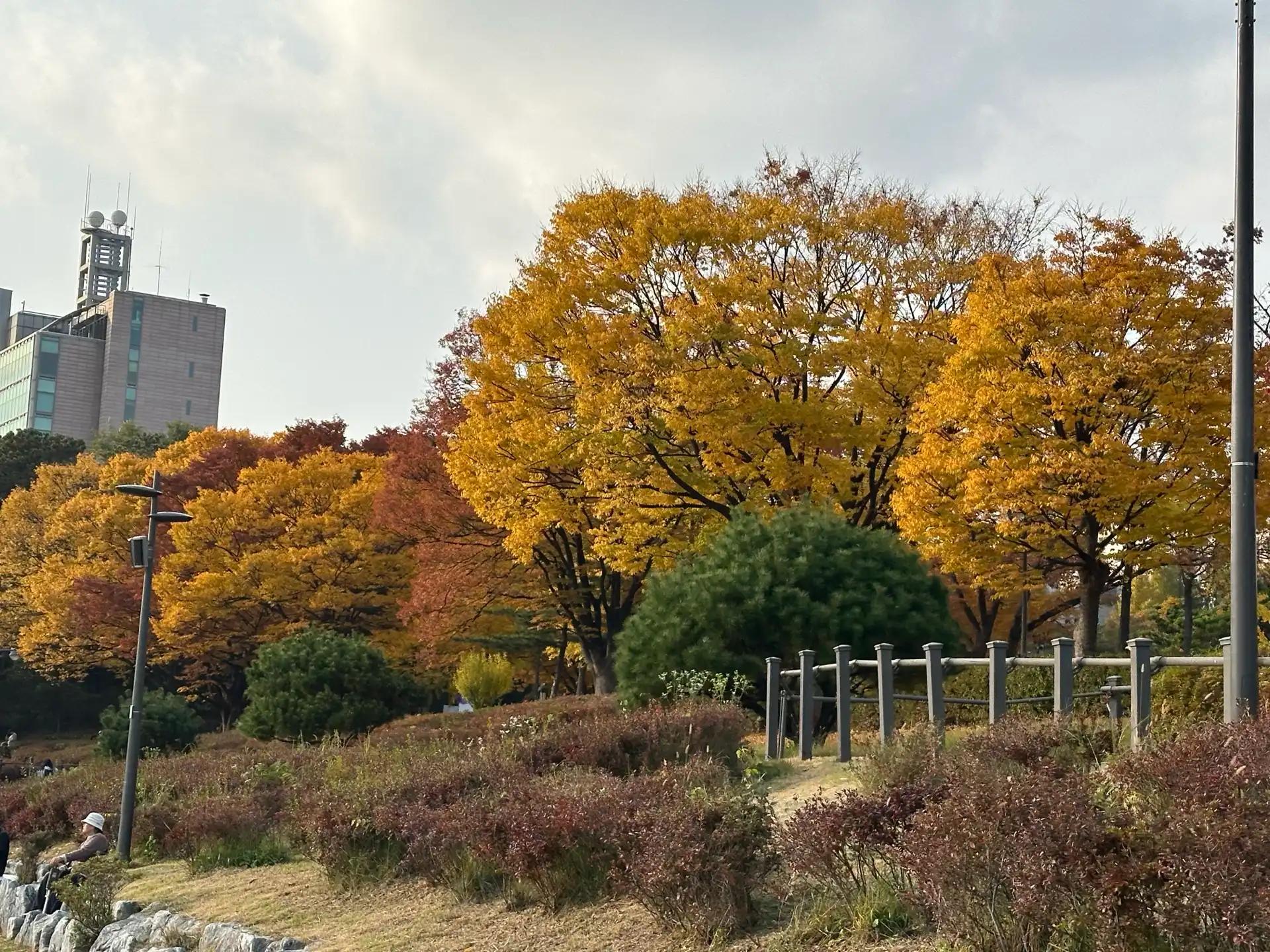 크루톡 이미지 3