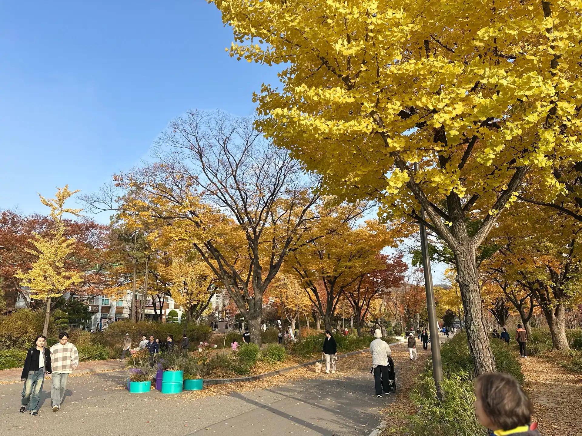 크루톡 이미지 5