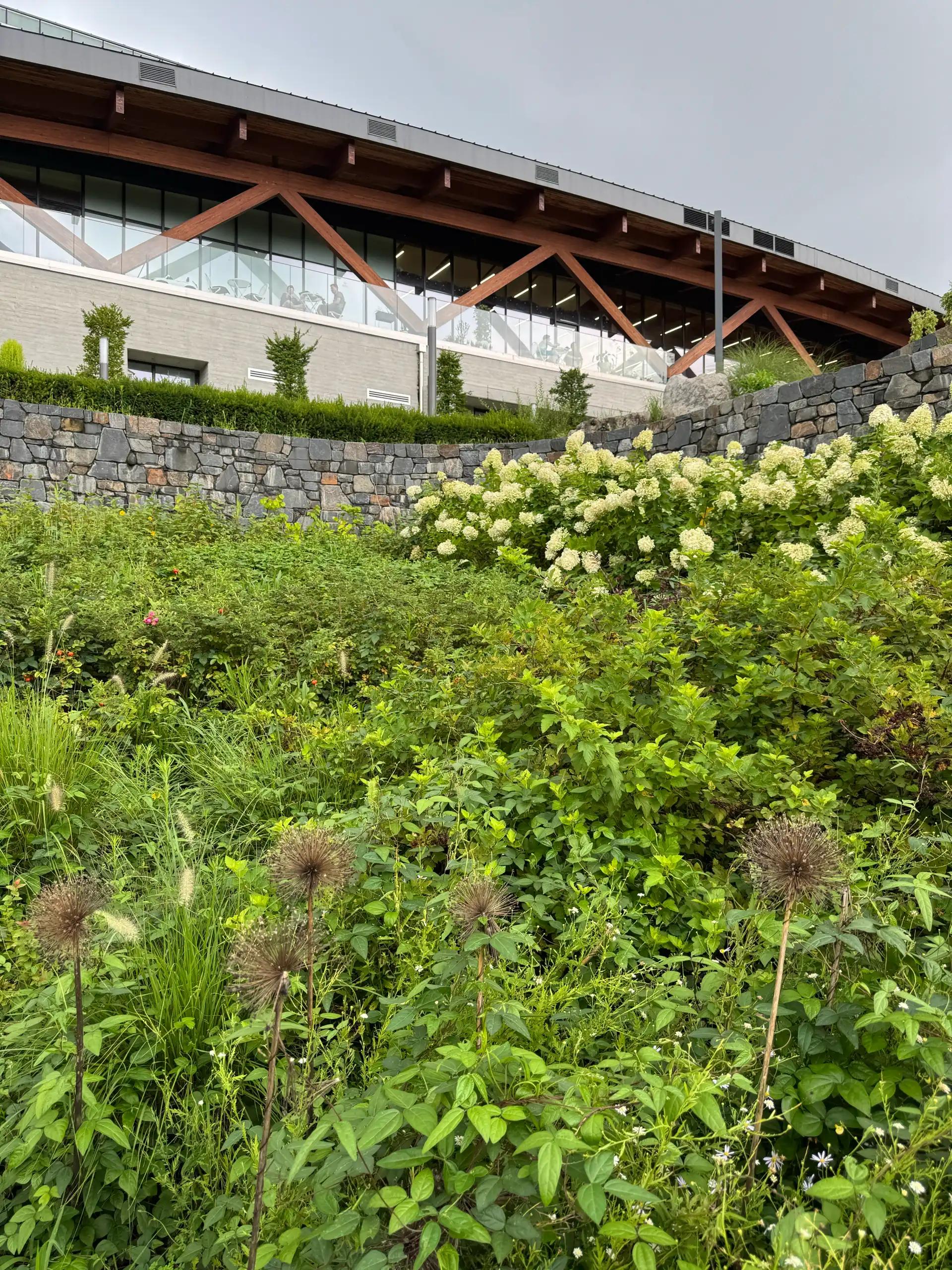 크루톡 이미지 3