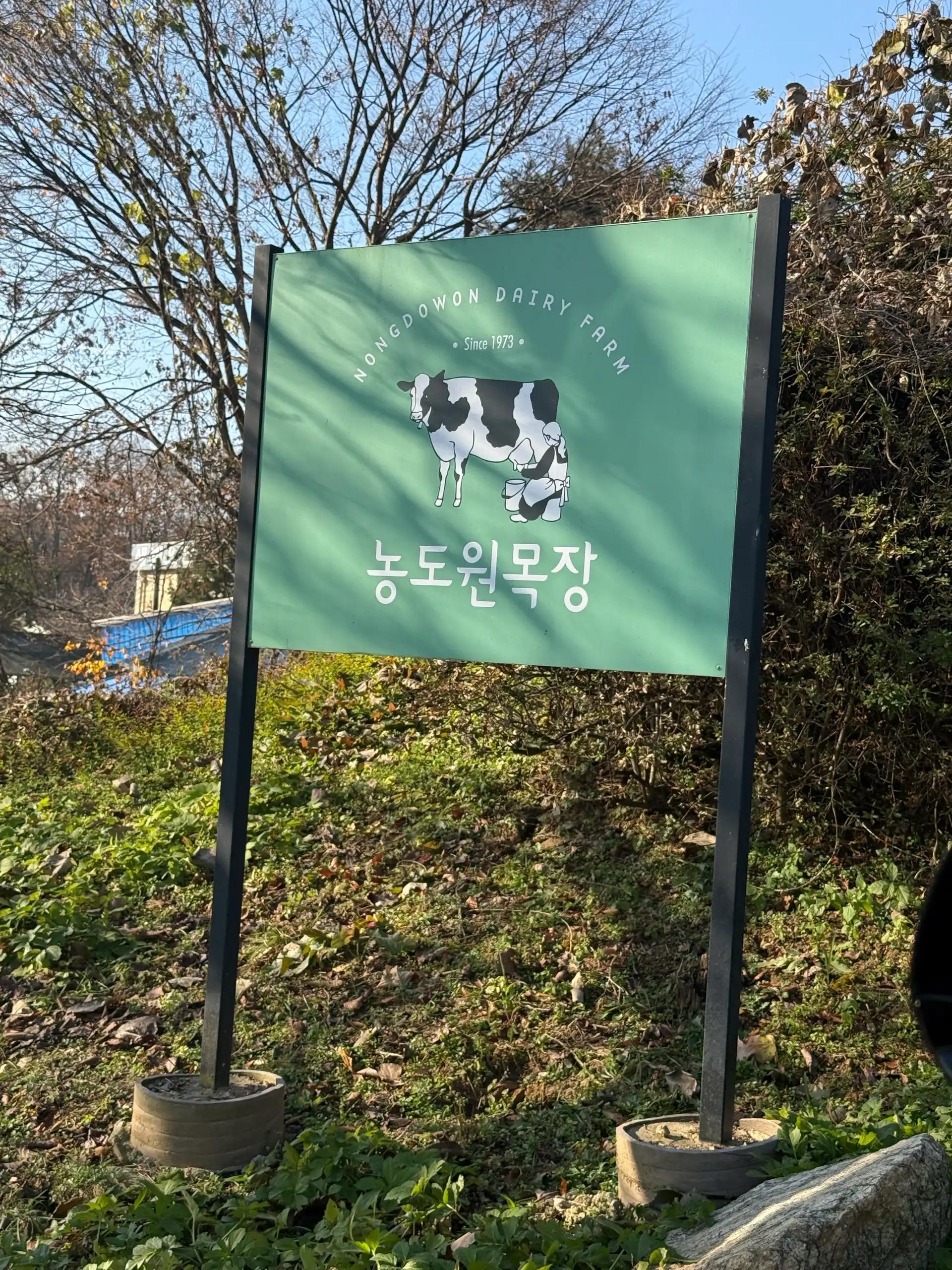 크루톡 이미지 1