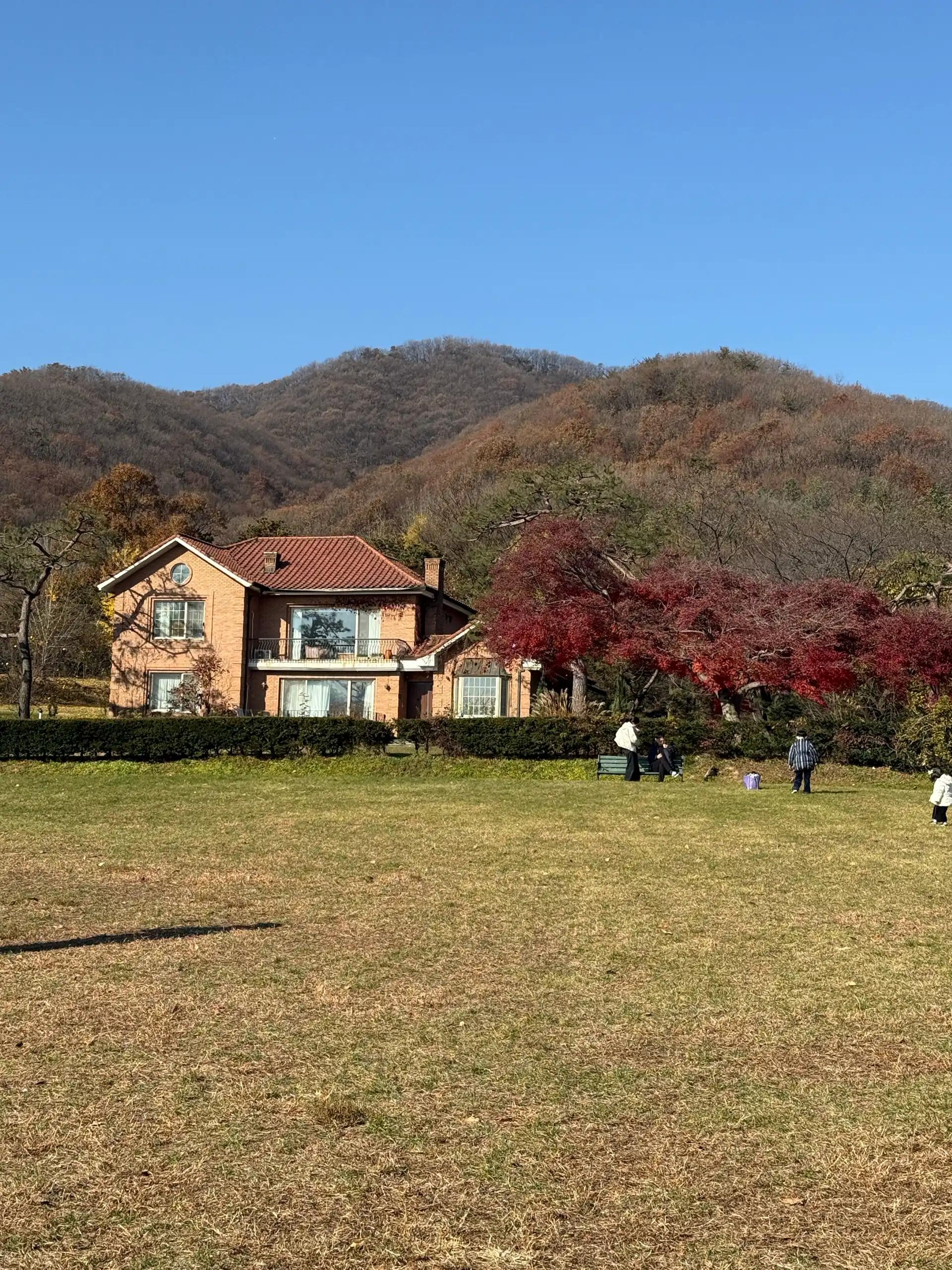 크루톡 이미지 2