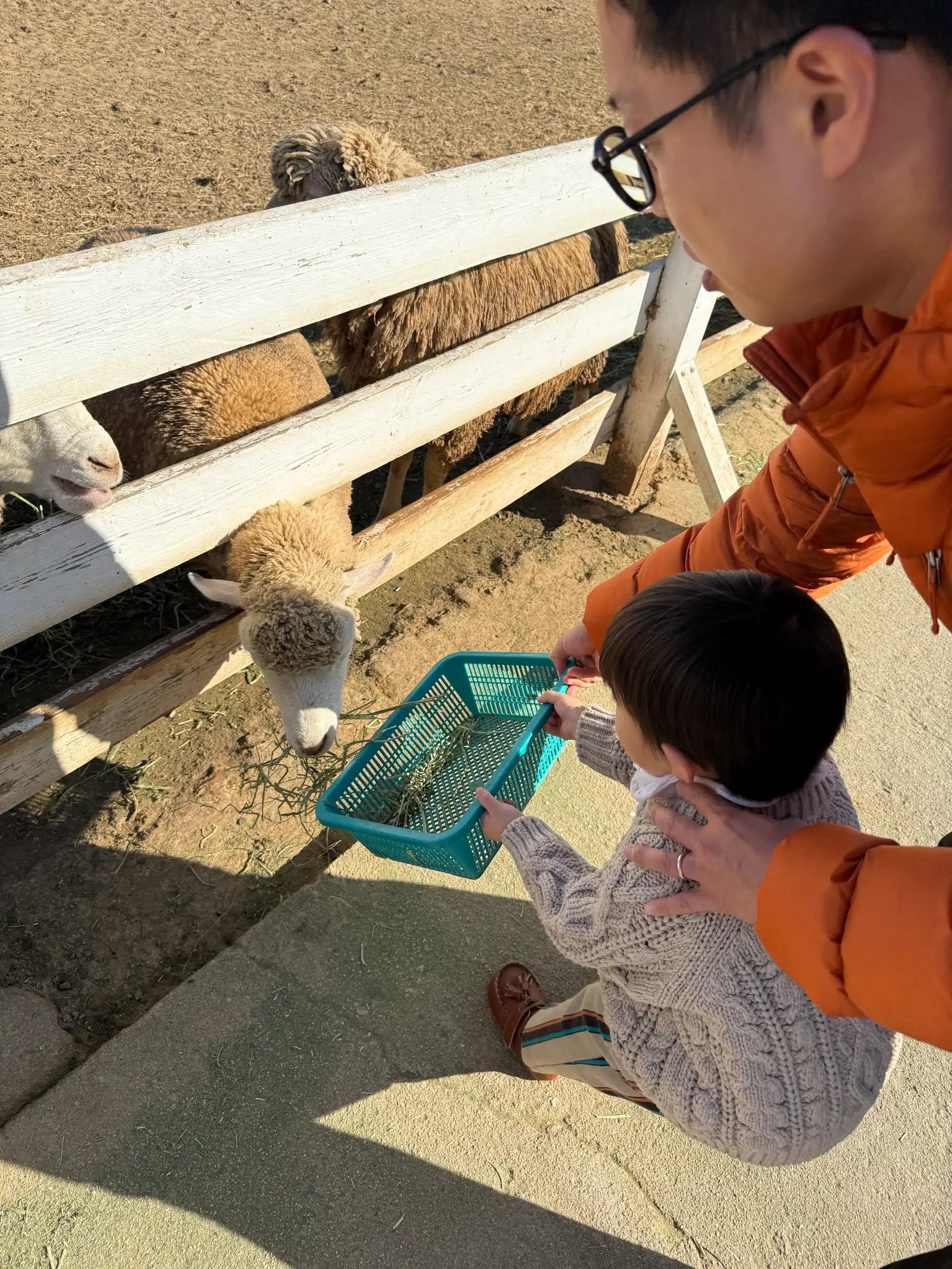 크루톡 이미지 3