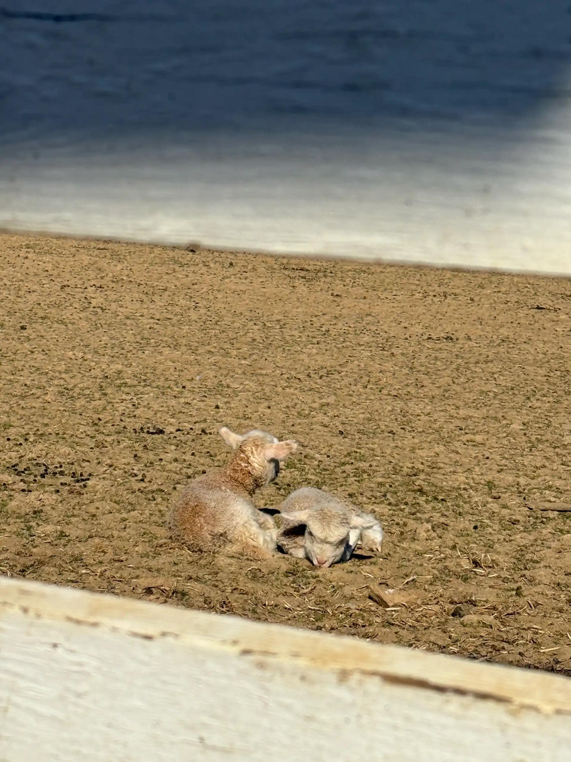 크루톡 이미지 4