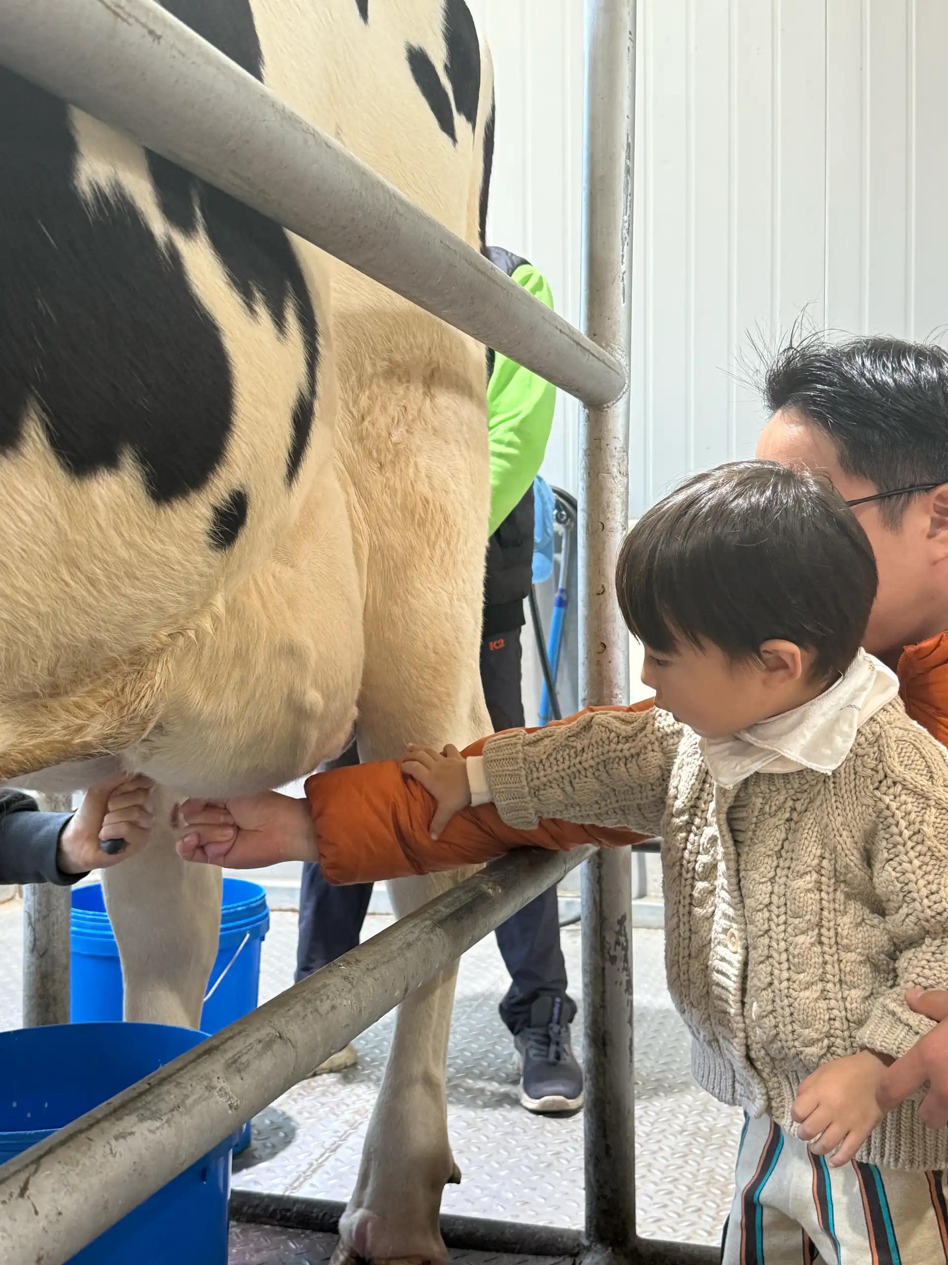 크루톡 이미지 5