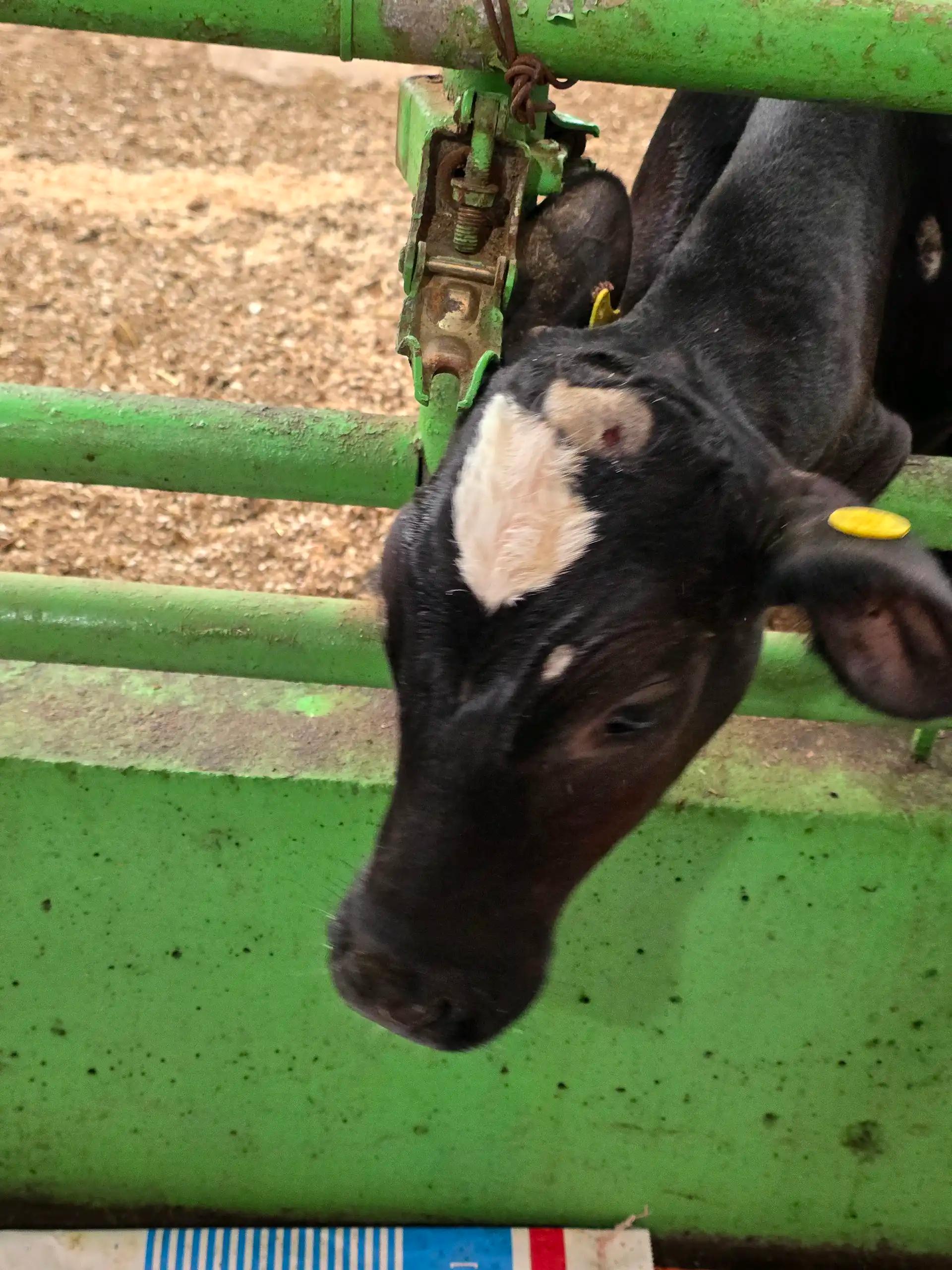 크루톡 이미지 2