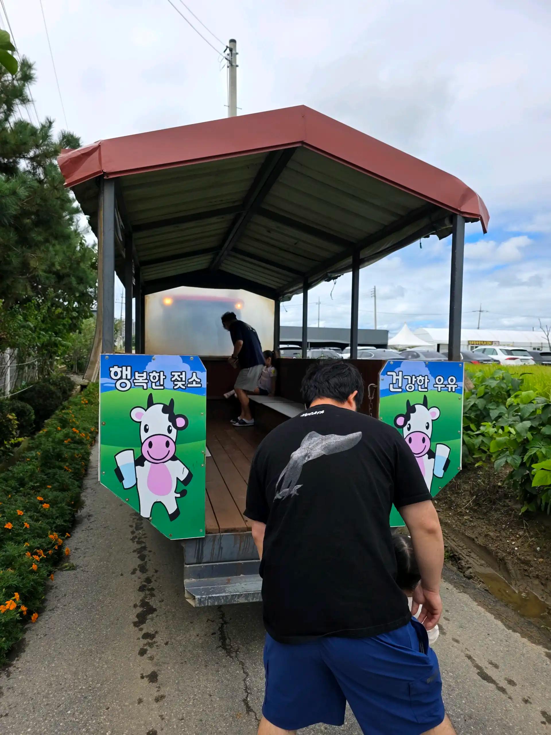 크루톡 이미지 4