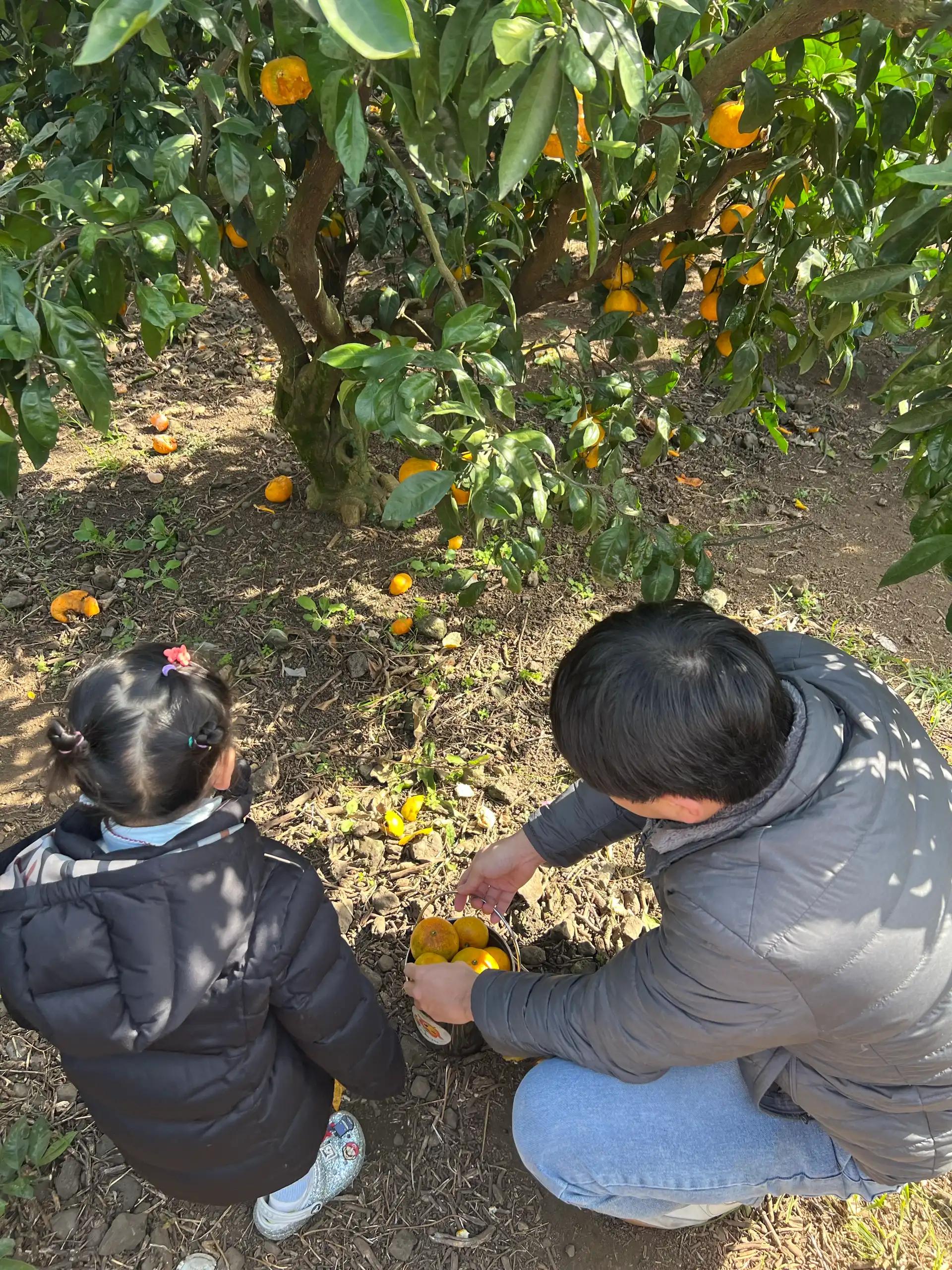 크루톡 이미지 4