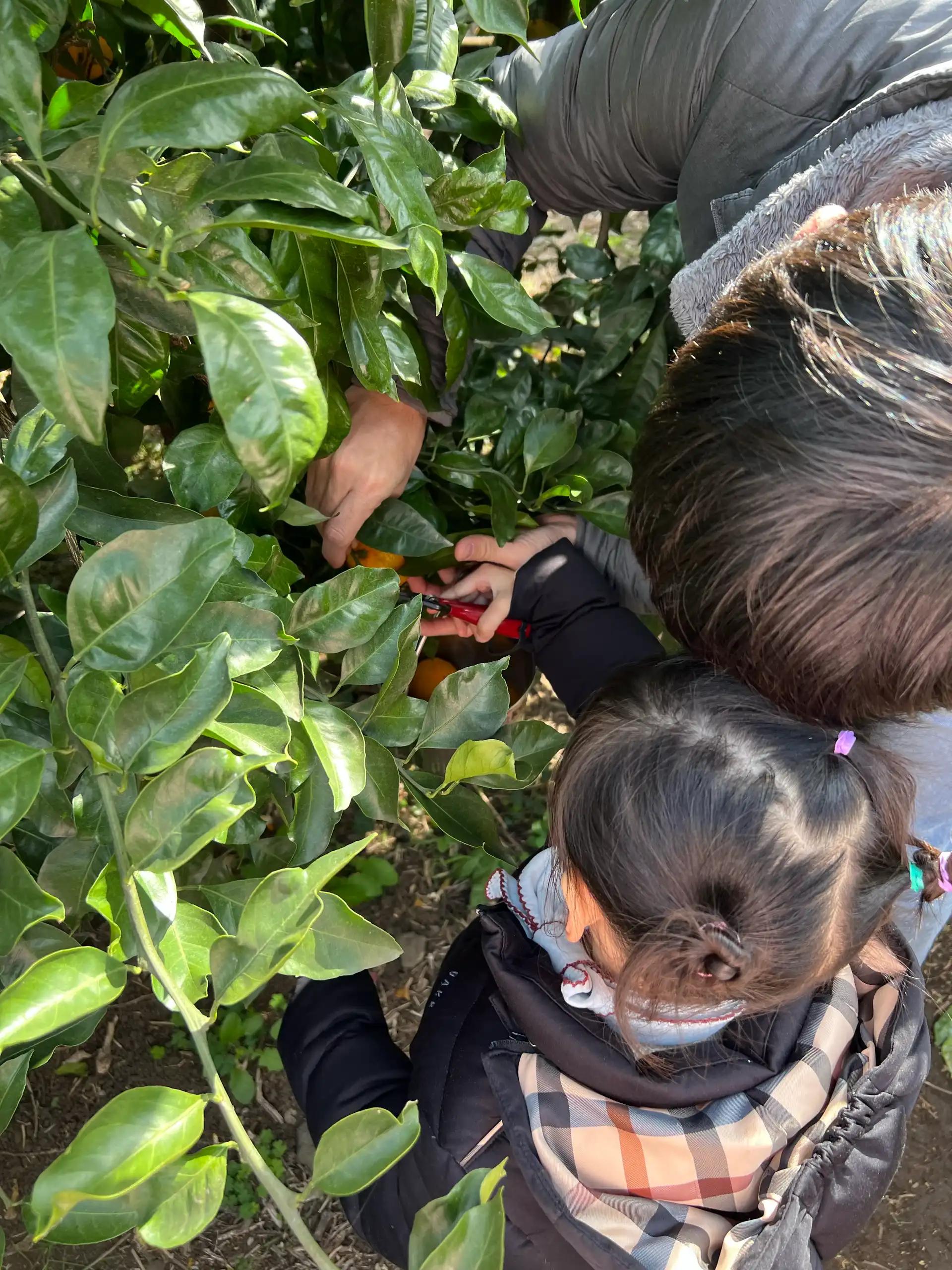 크루톡 이미지 5