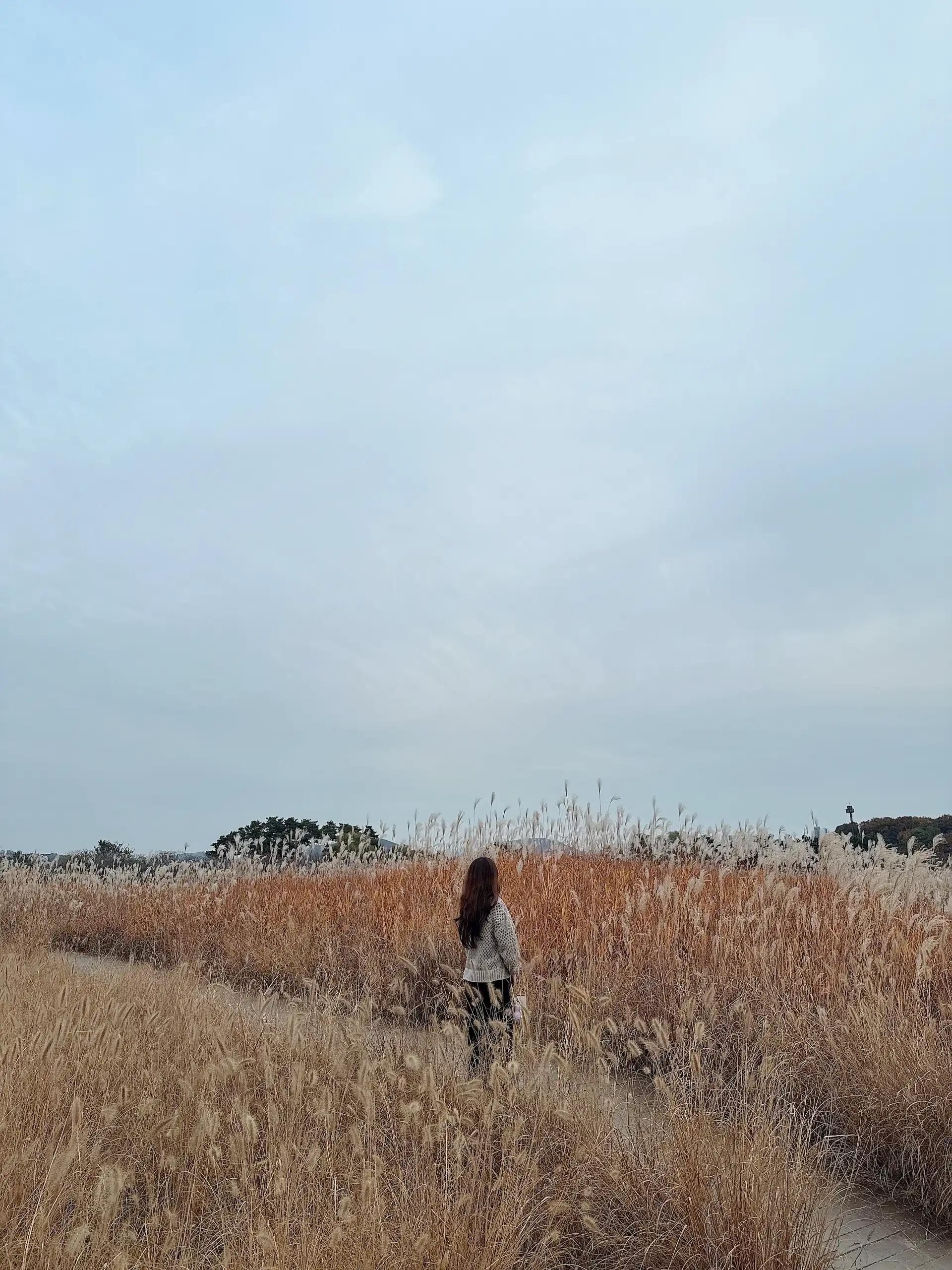 크루톡 이미지 10