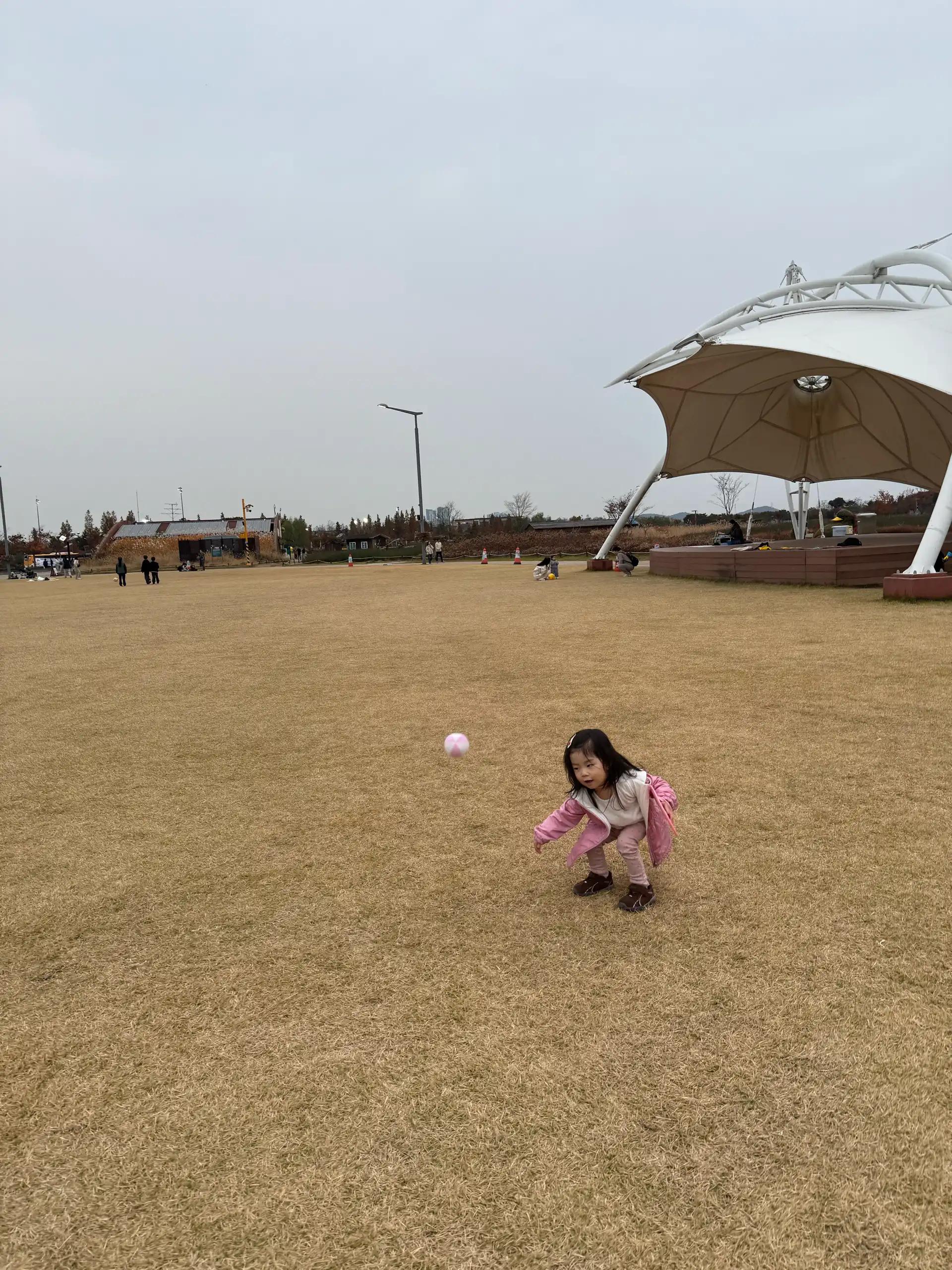 크루톡 이미지 11