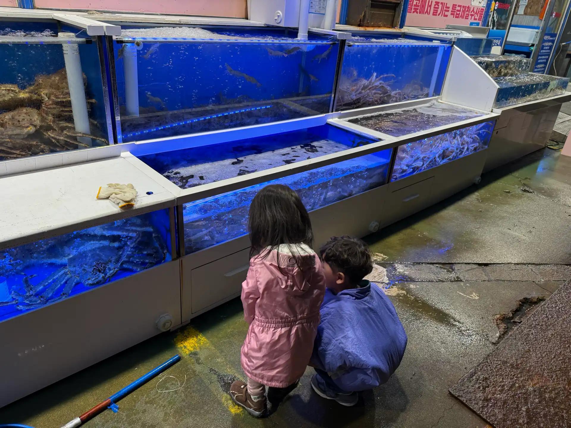 크루톡 이미지 12