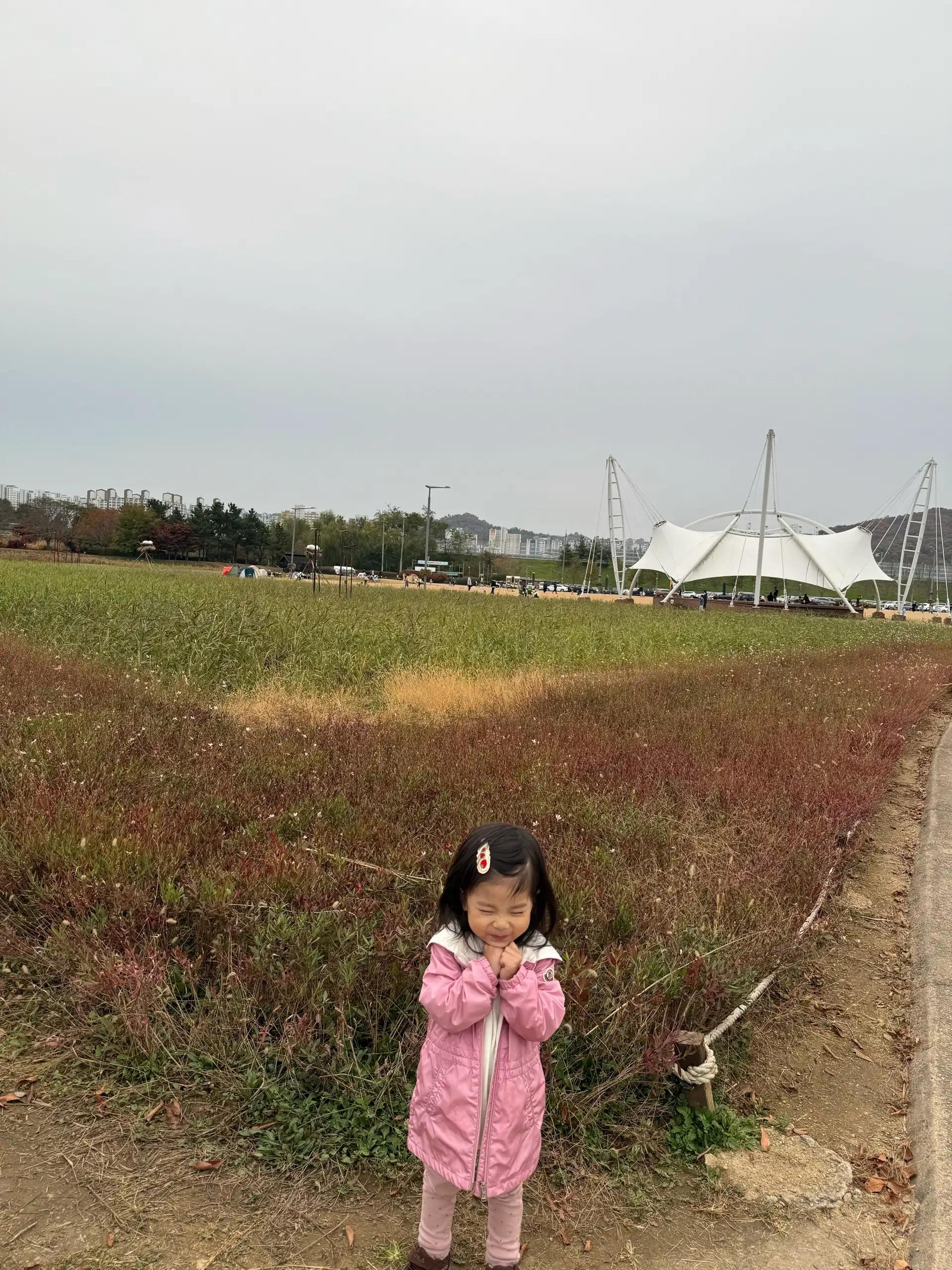 크루톡 이미지 2