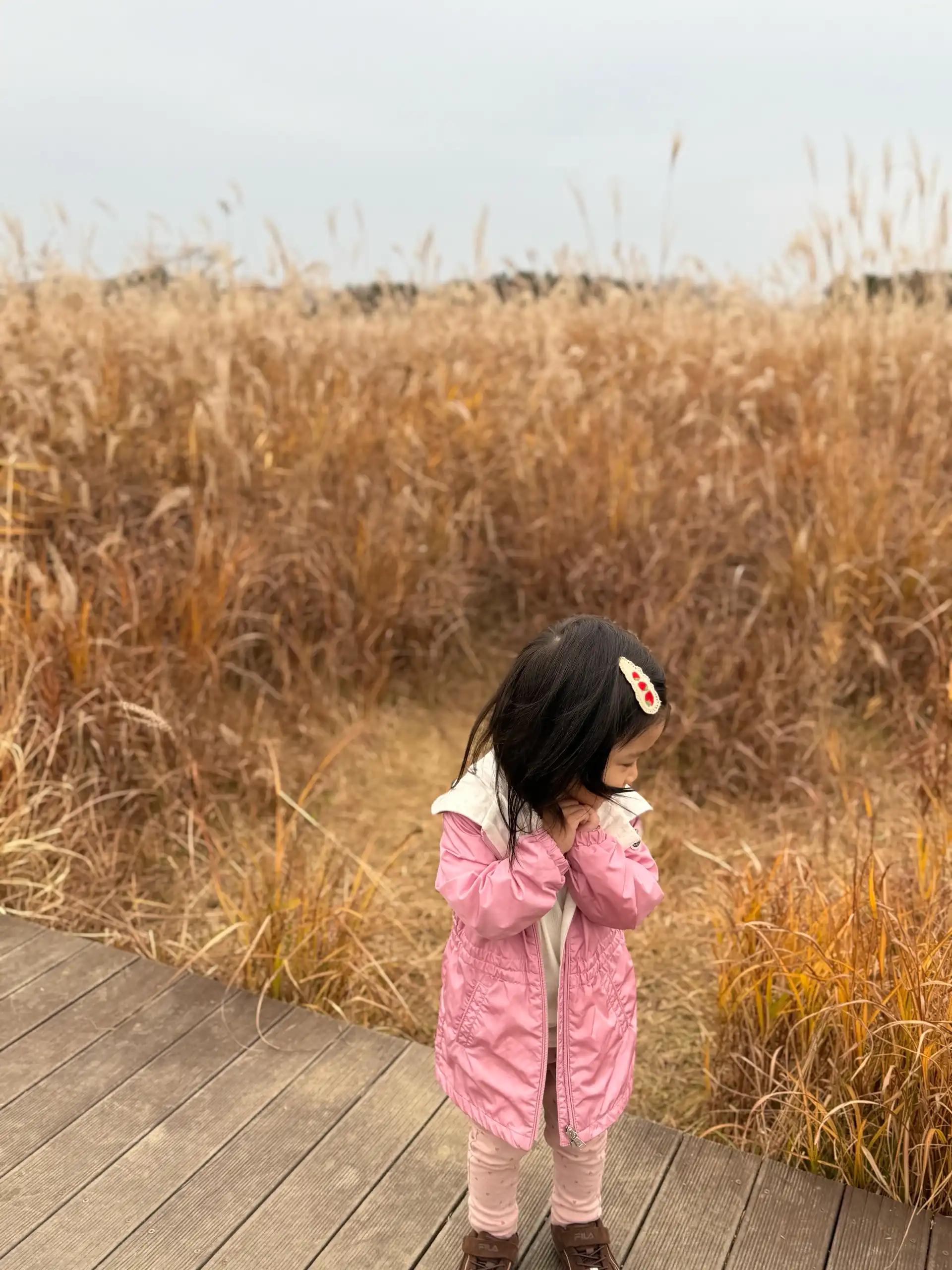 크루톡 이미지 4