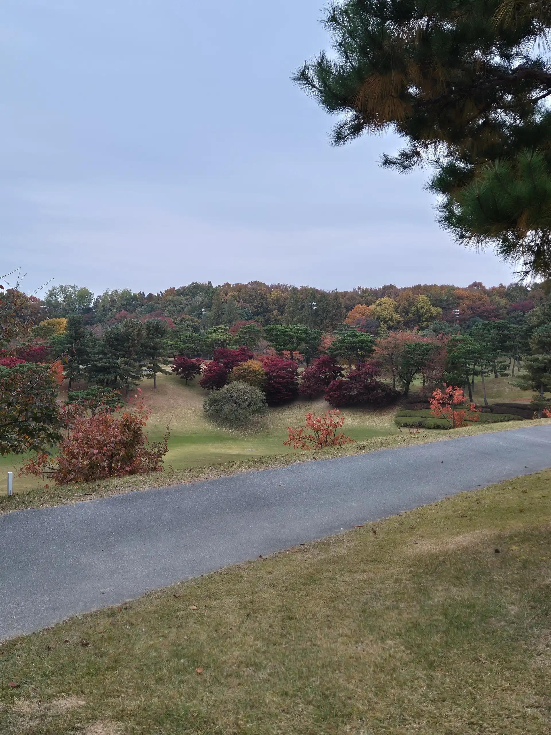 크루톡 이미지 15