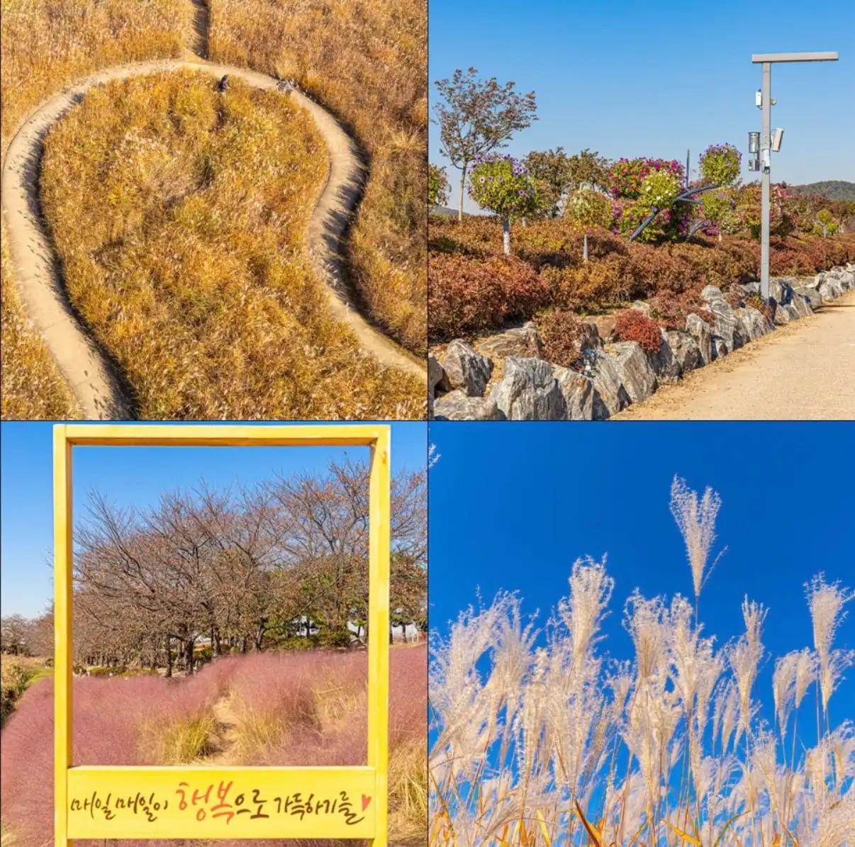 크루톡 이미지 19