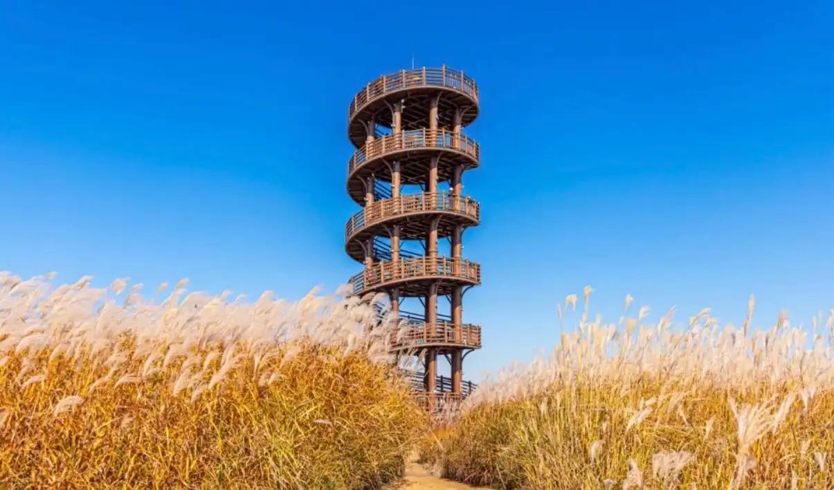 크루톡 이미지 20