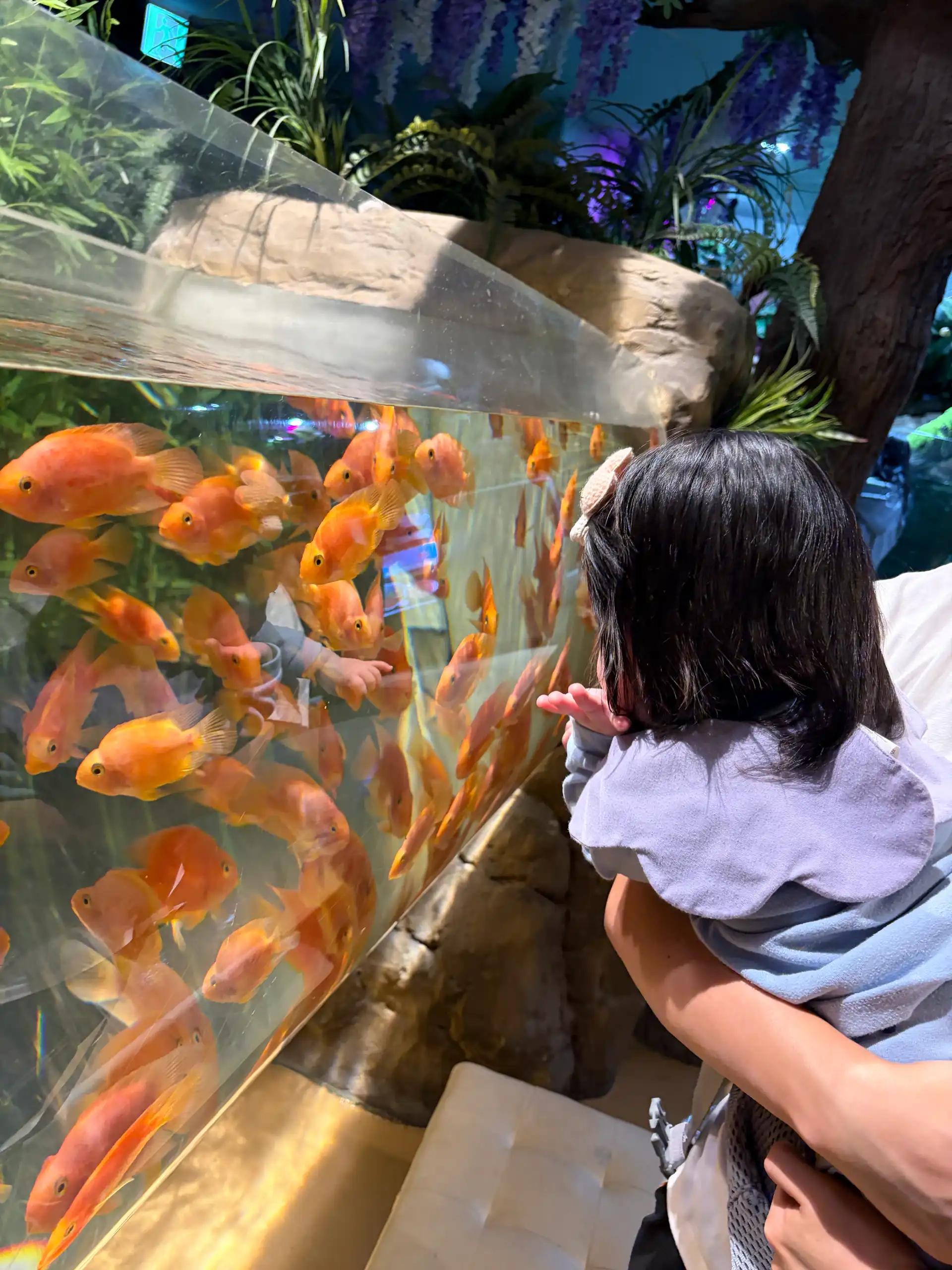 크루톡 이미지 2