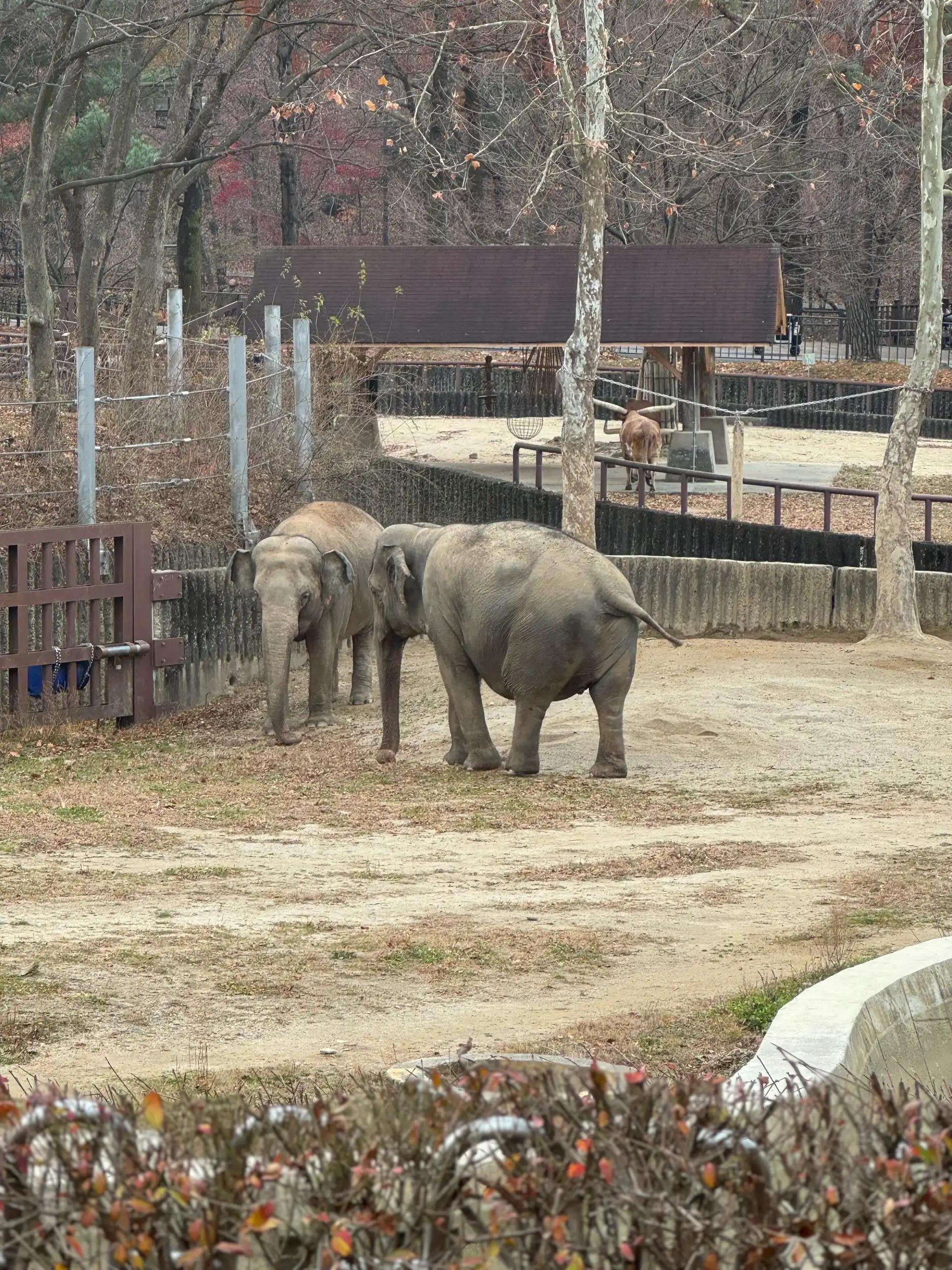 크루톡 이미지 2